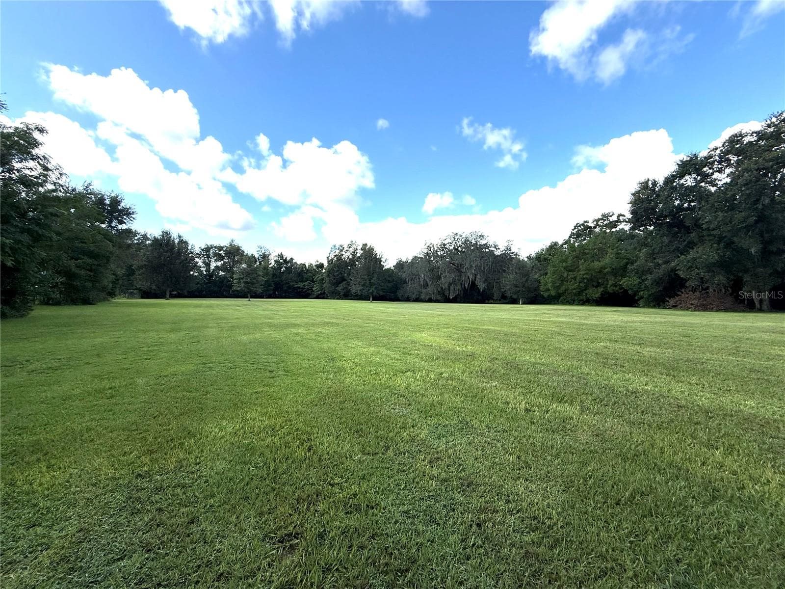 what a beauty - 380 MOALE RD, BROOKSVILLE