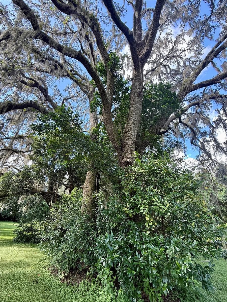 ... one of many - 380 MOALE RD, BROOKSVILLE