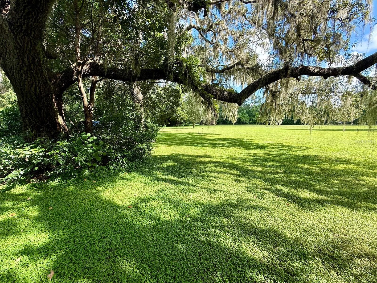 Single Family Residence at 380 MOALE RD, BROOKSVILLE, photo 58 of 73