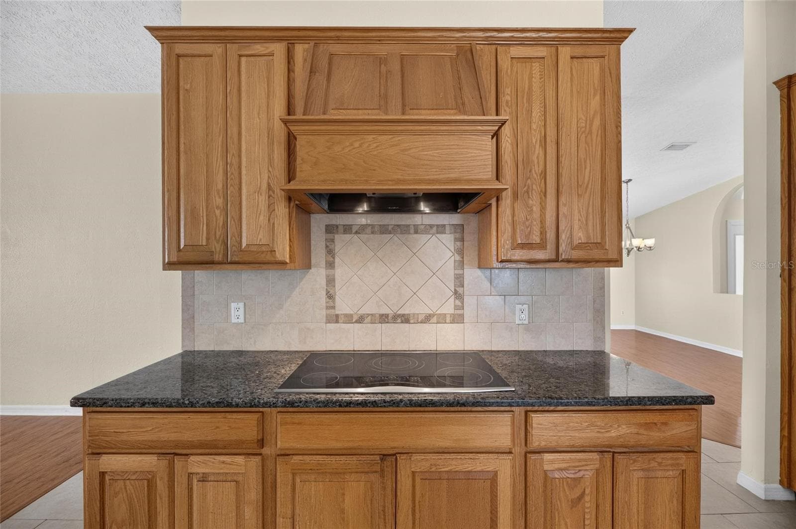 Single Family Residence at 4404 KENDAL CT, VALRICO, photo 4 of 91