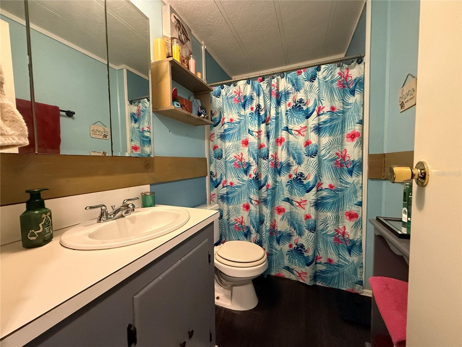 GUEST BATHROOM - 11110 SE 66TH TER, BELLEVIEW
