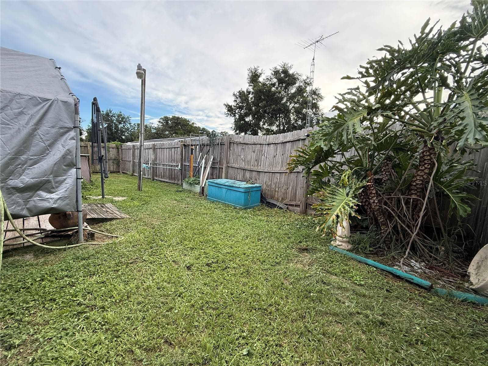 SIDE YARD - 11110 SE 66TH TER, BELLEVIEW