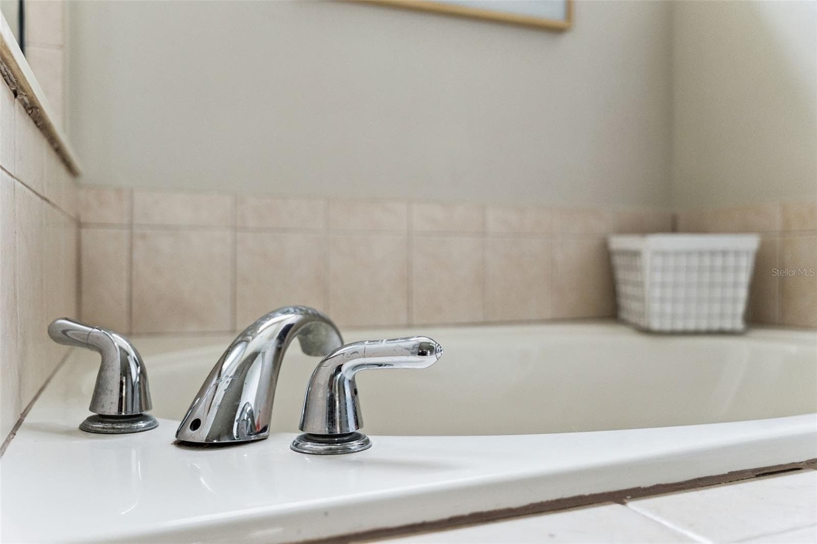 SOAKING TUB - 16460 TUDOR GROVE DR, ORLANDO