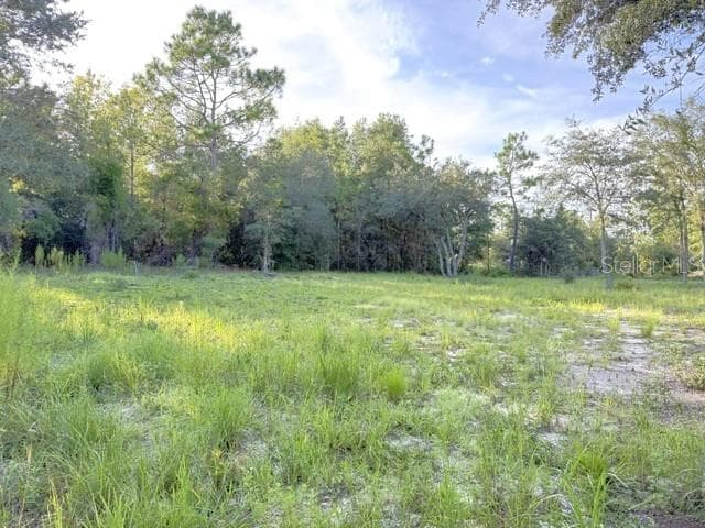 Land at 00 NE 50TH PL, WILLISTON, photo 4 of 4