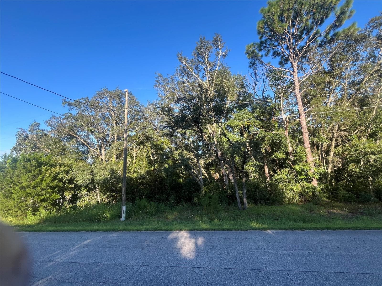 Land at TBD SE 94TH AVE, BELLEVIEW, photo 5 of 6