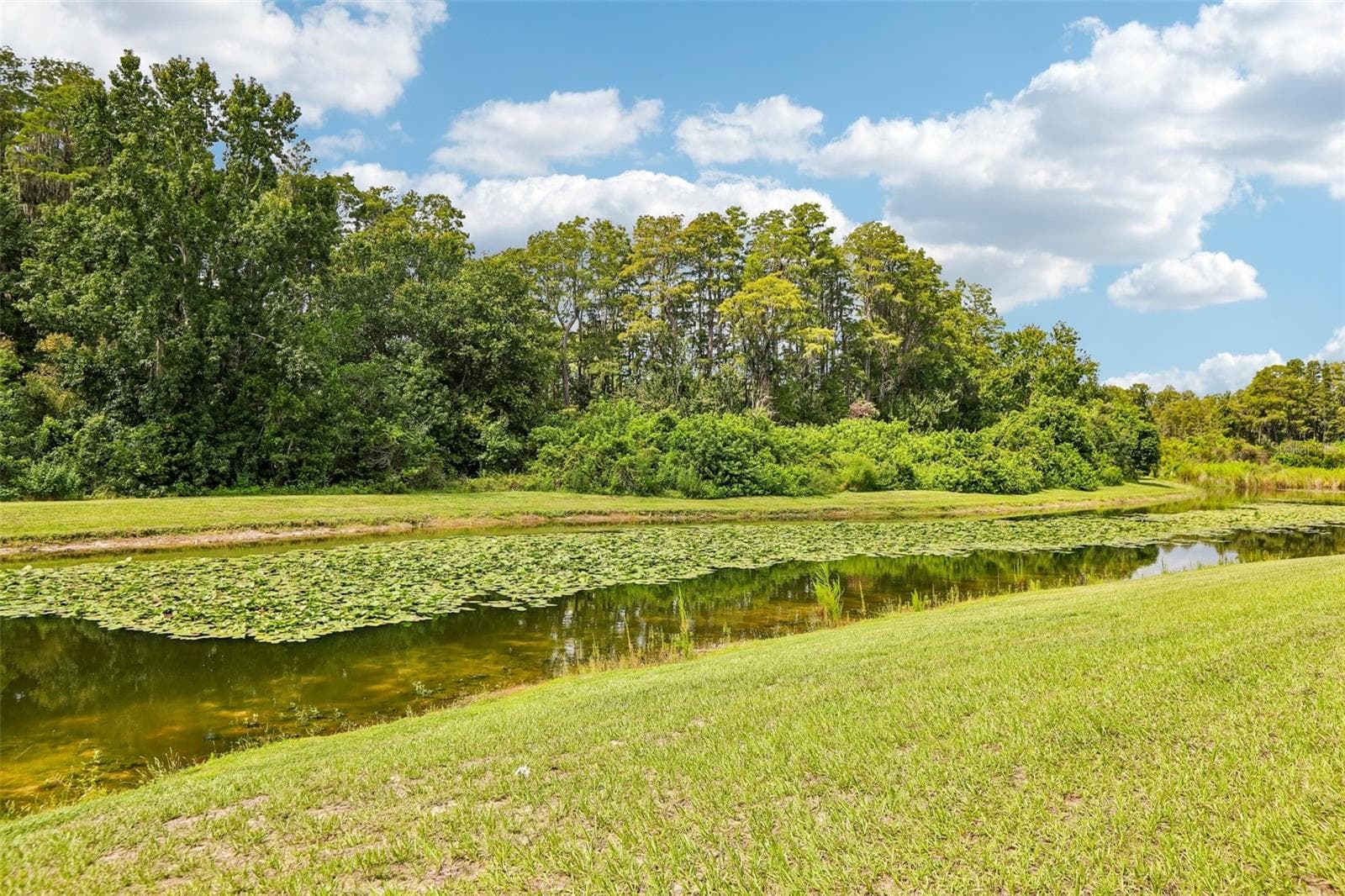 Single Family Residence at 5903 CAPE LOOP, LAND O LAKES, photo 54 of 57
