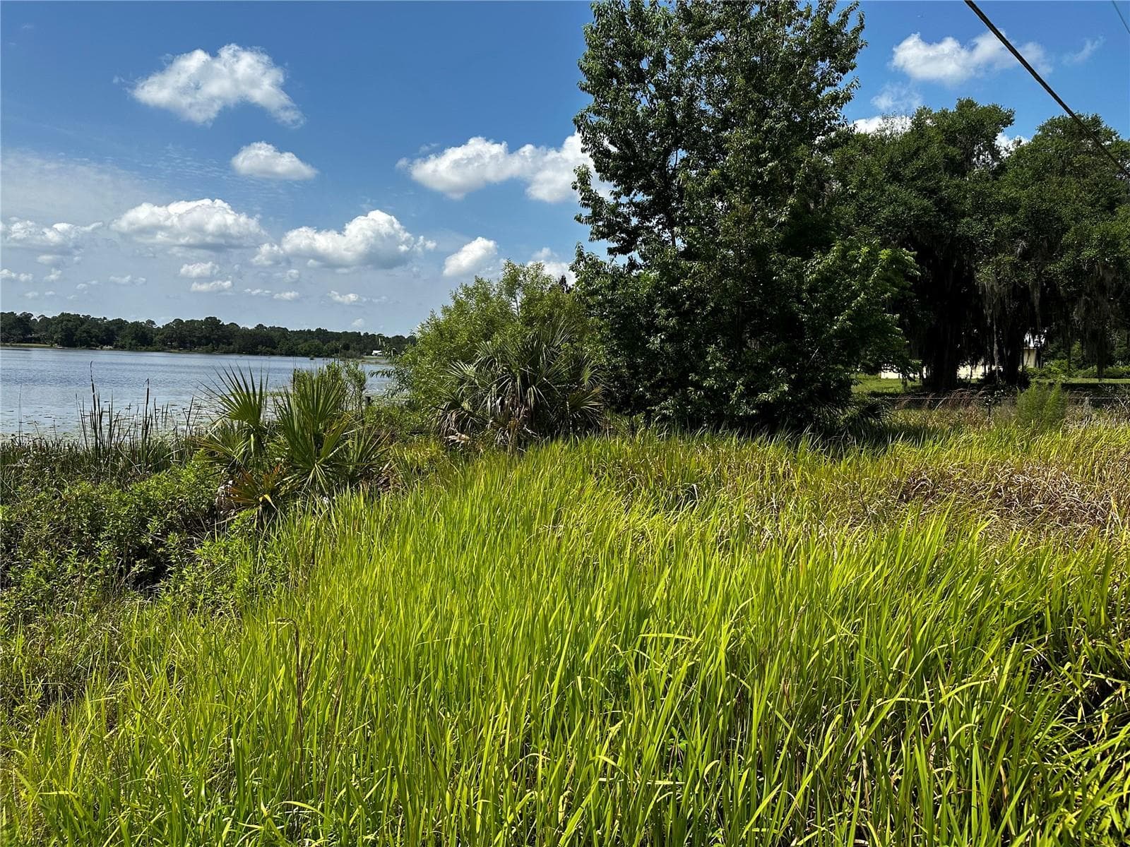 Land at COUNTY ROAD 450, UMATILLA, photo 3 of 23