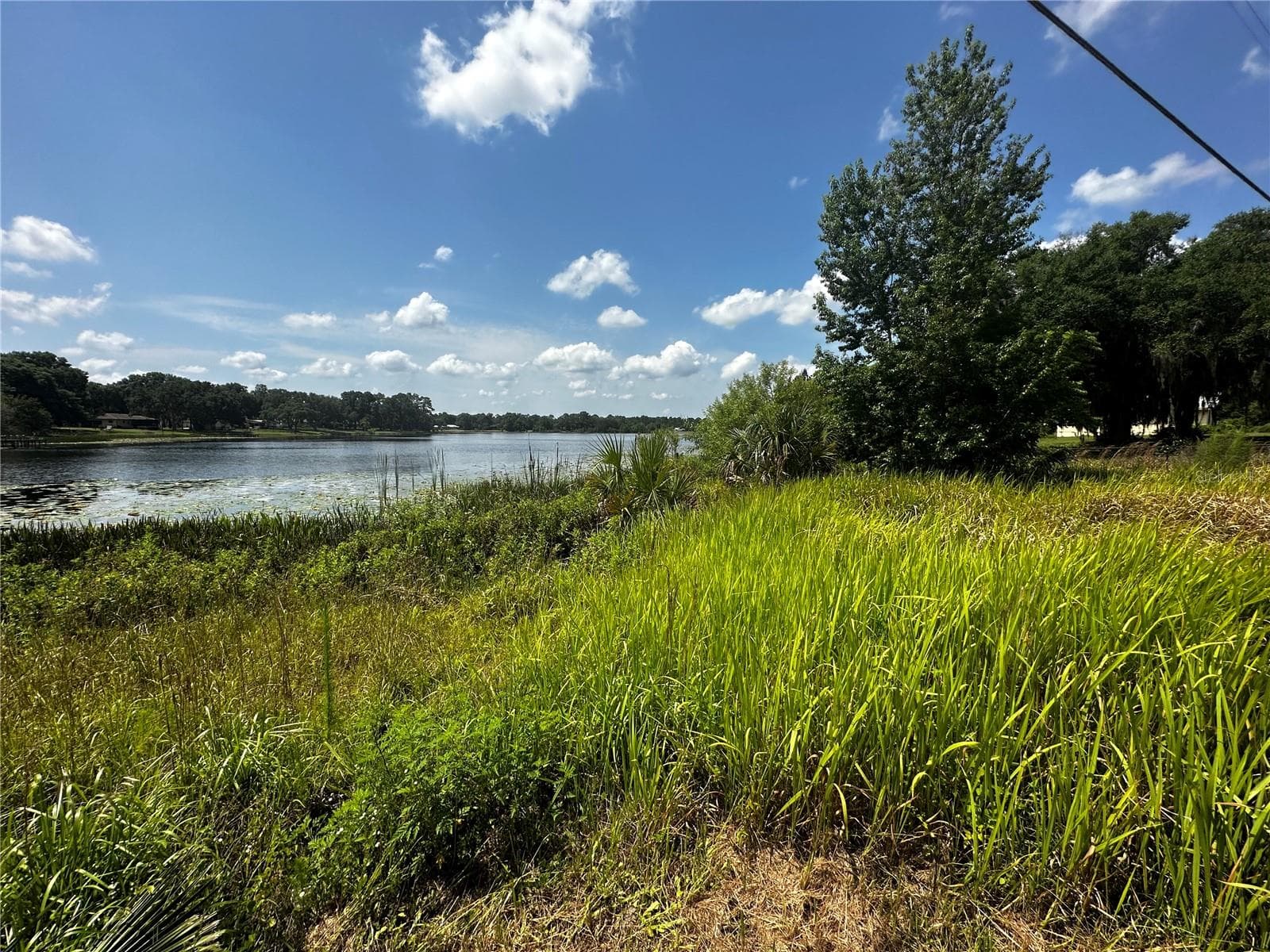 Land at COUNTY ROAD 450, UMATILLA, photo 5 of 23