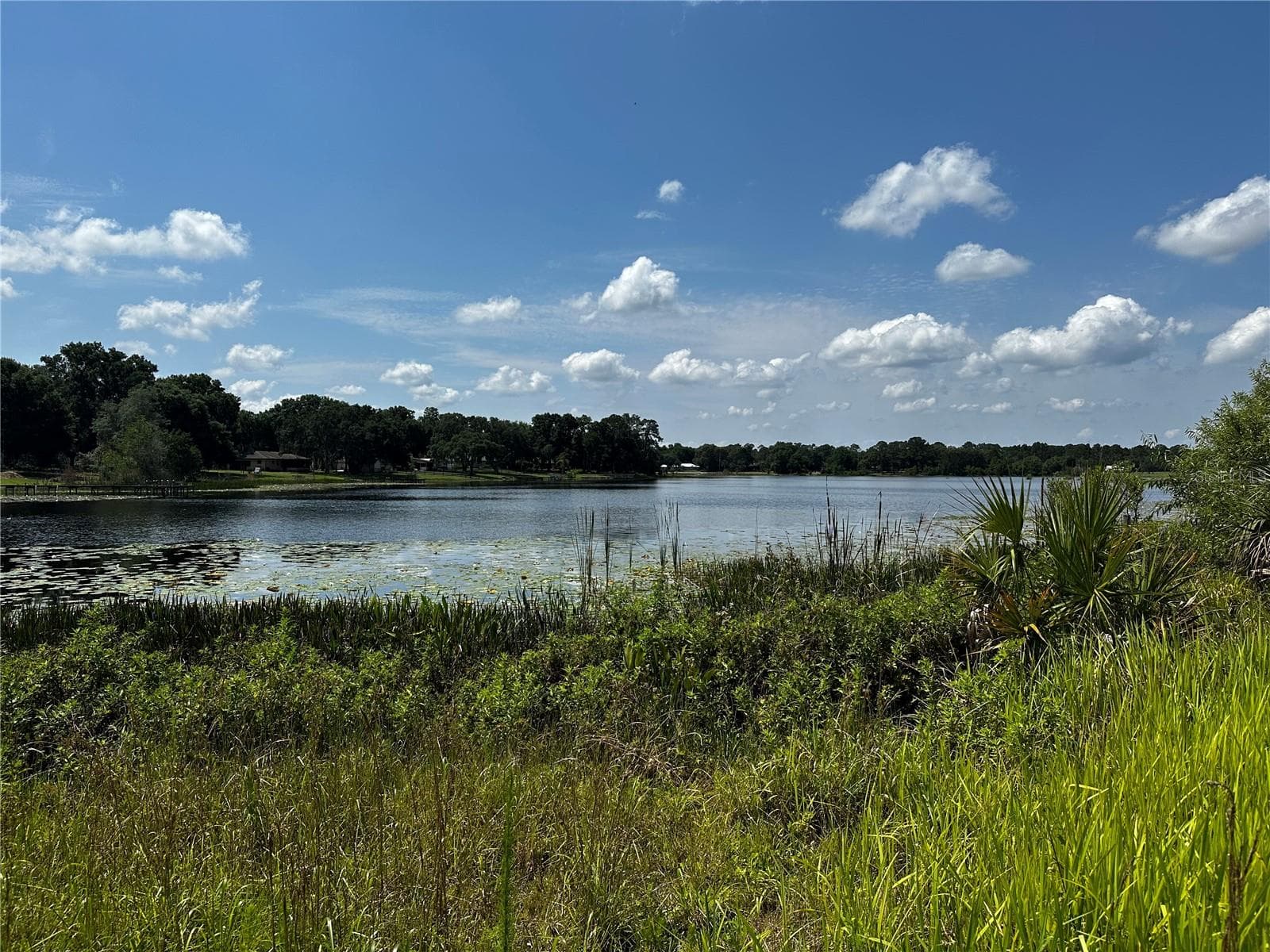 Land at COUNTY ROAD 450, UMATILLA, photo 10 of 23