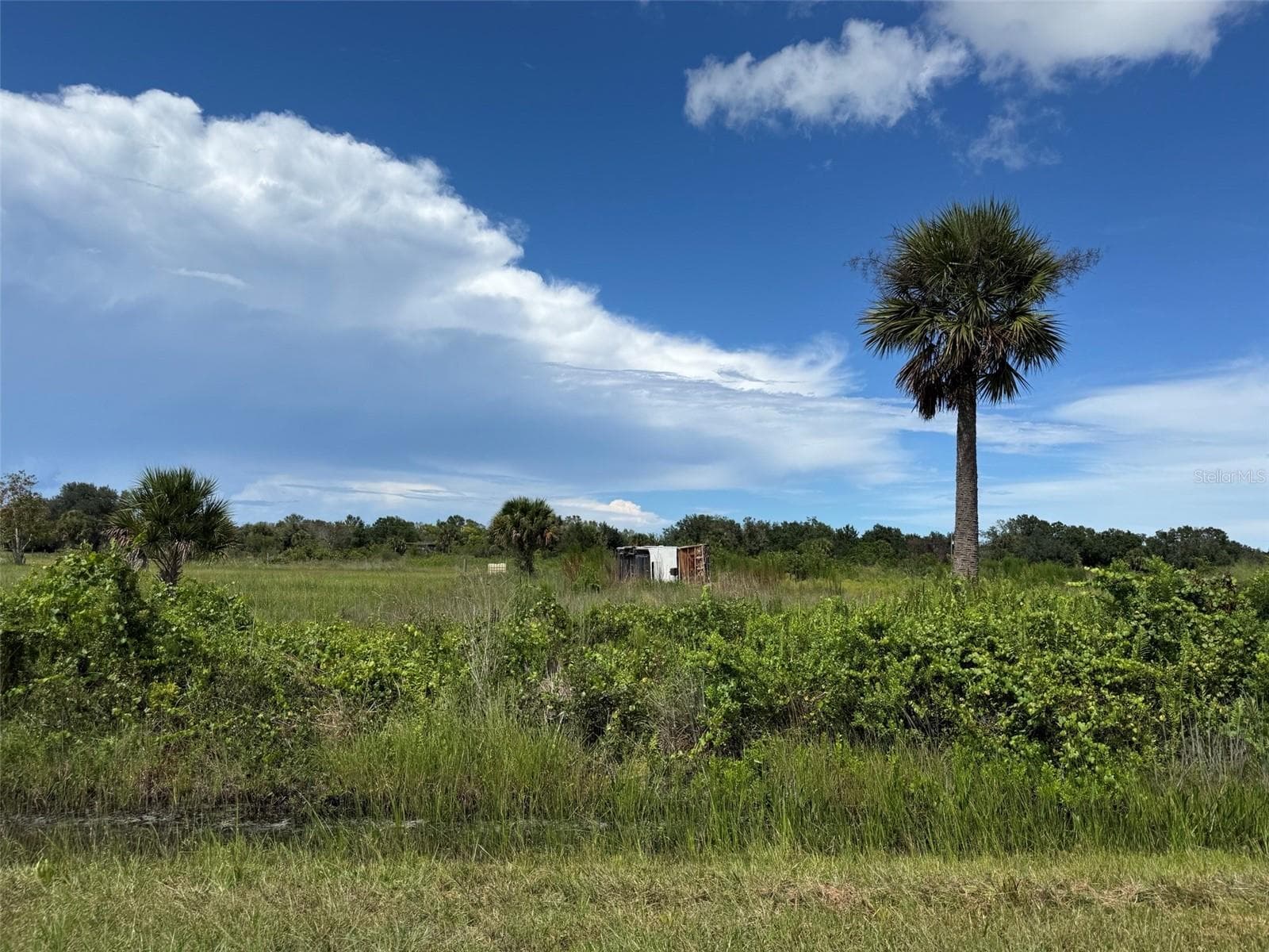 Land at 18073 NW 276TH ST, OKEECHOBEE, photo 6 of 6