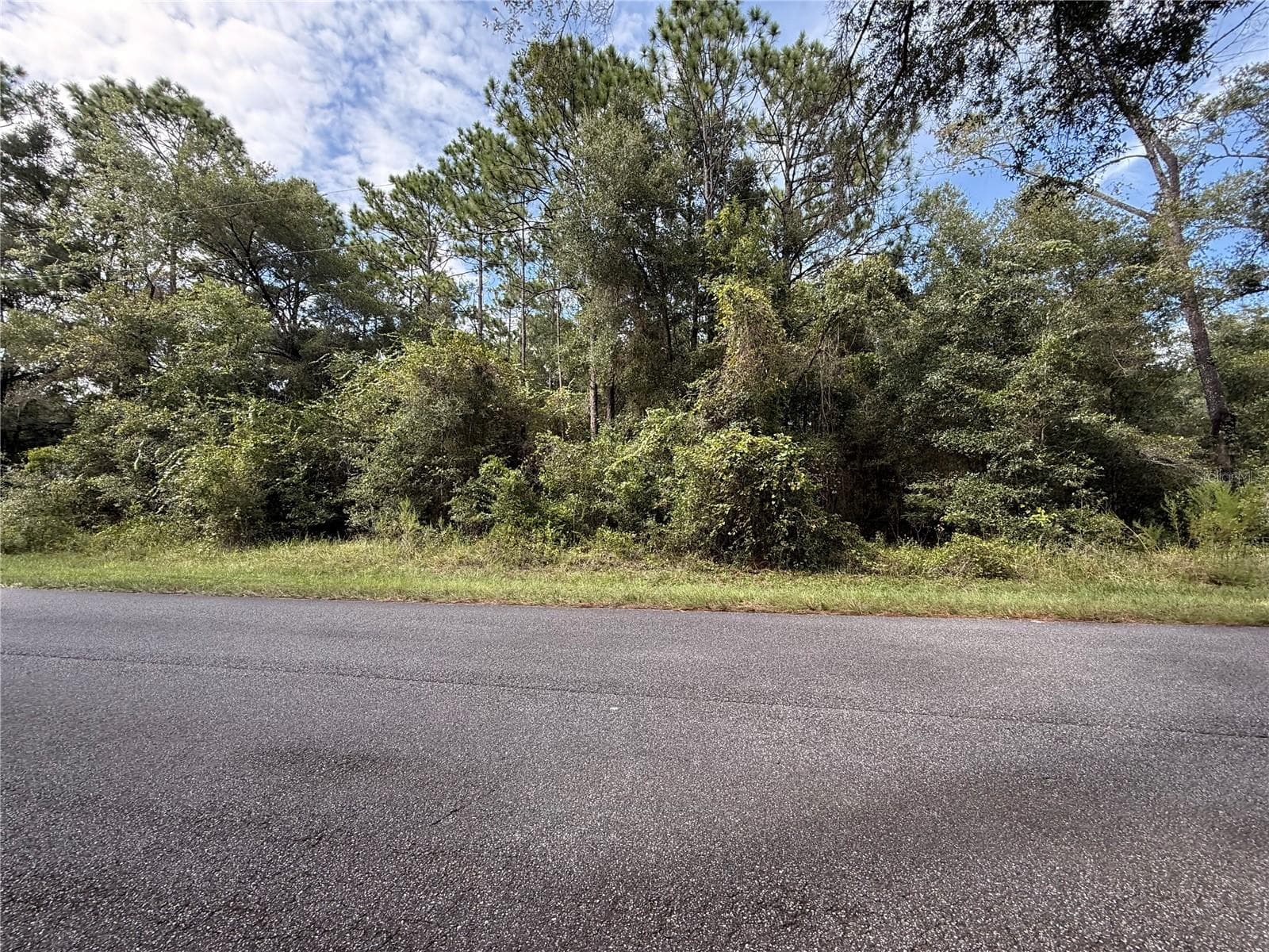 Land at TBD SW 57TH PL, DUNNELLON, photo 2 of 4
