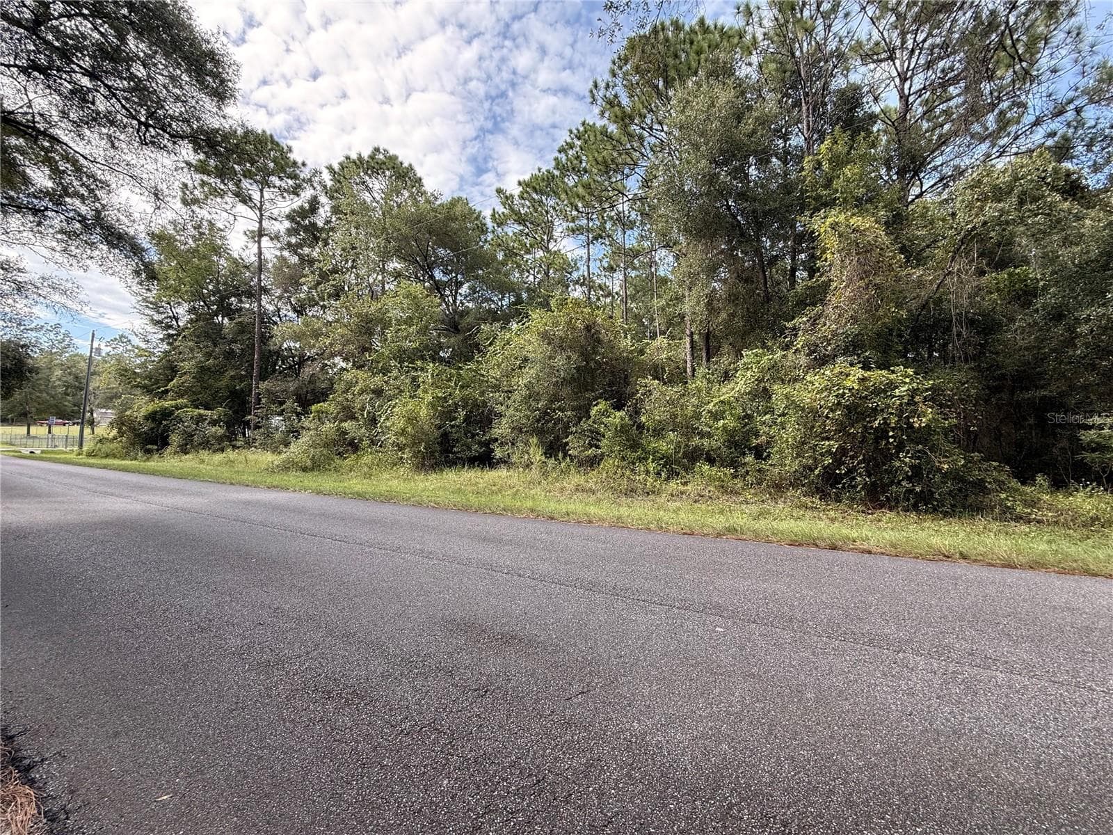 Land at TBD SW 57TH PL, DUNNELLON, photo 4 of 4