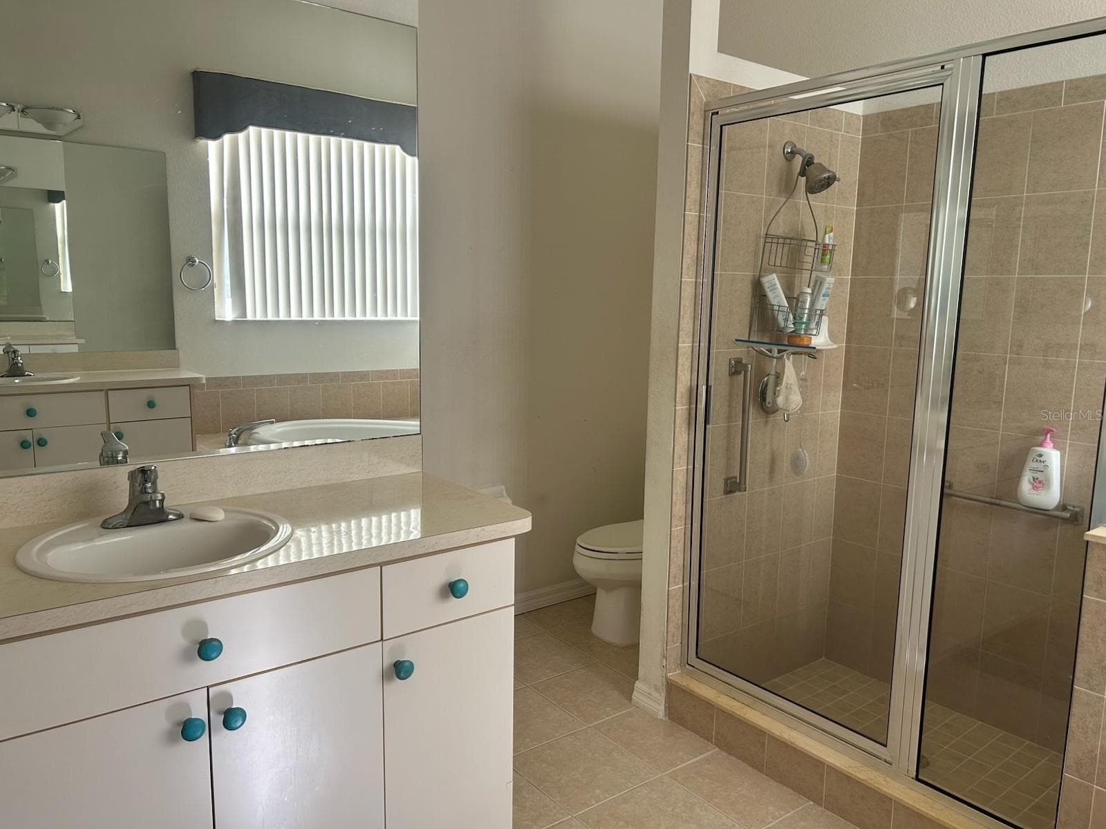 Master Bath - 11152 CLEAR OAK CIR, NEW PORT RICHEY