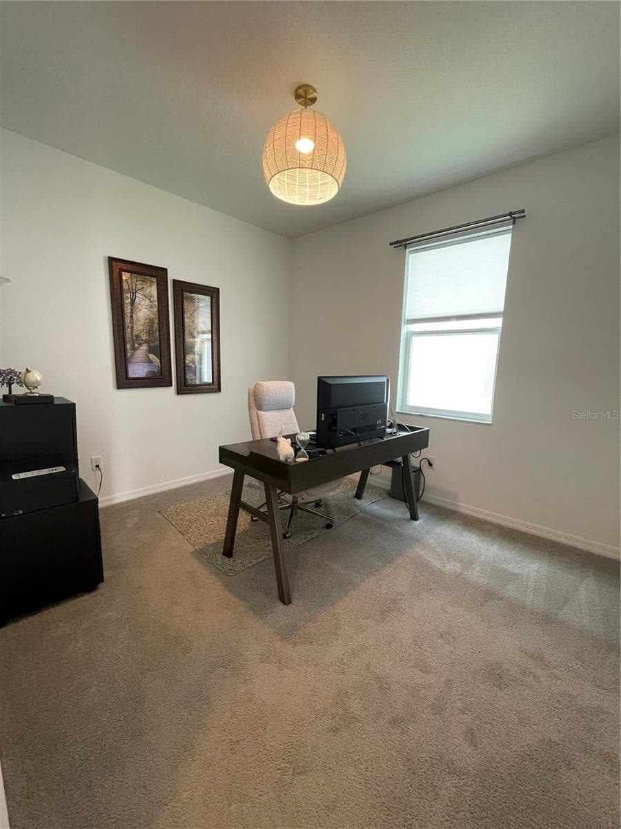 Single Family Residence at 7491 NOTCHED PINE BND, WESLEY CHAPEL, photo 29 of 37
