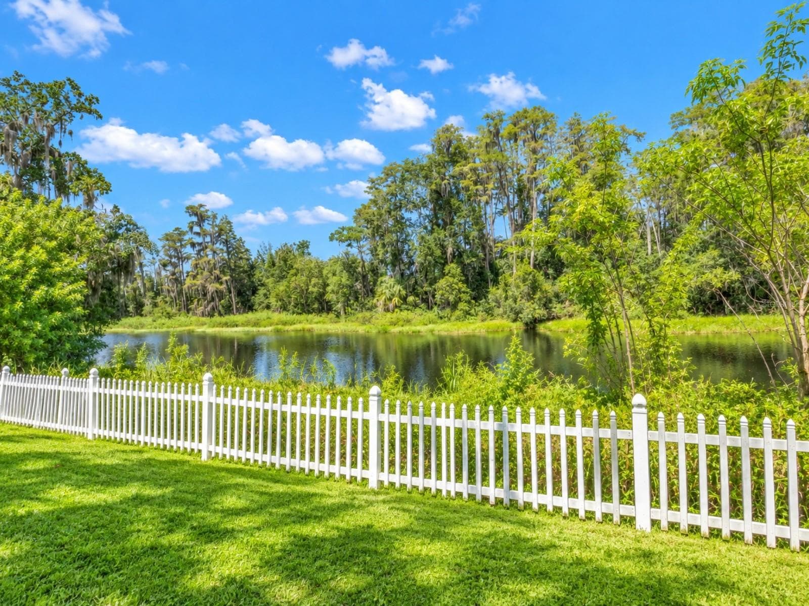 Stunning Lake View! - 19201 ALICE CIR, LUTZ