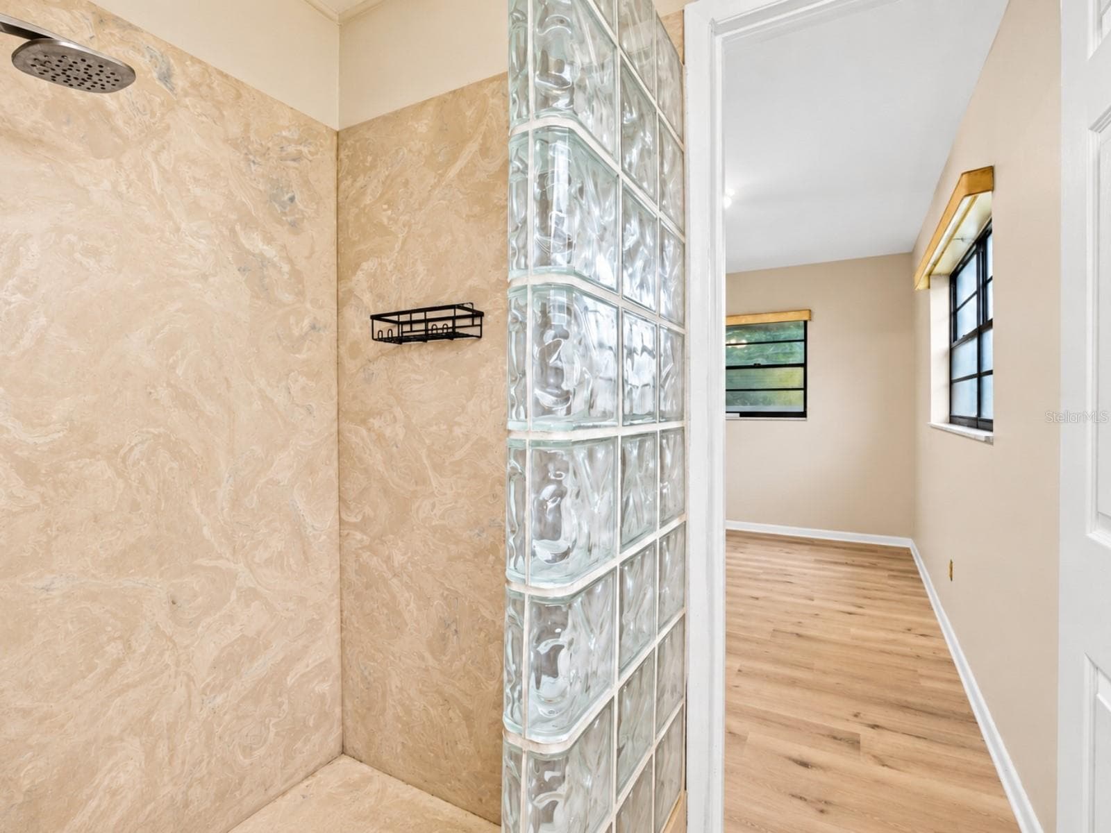 Single Family Residence at 19201 ALICE CIR, LUTZ, photo 21 of 44