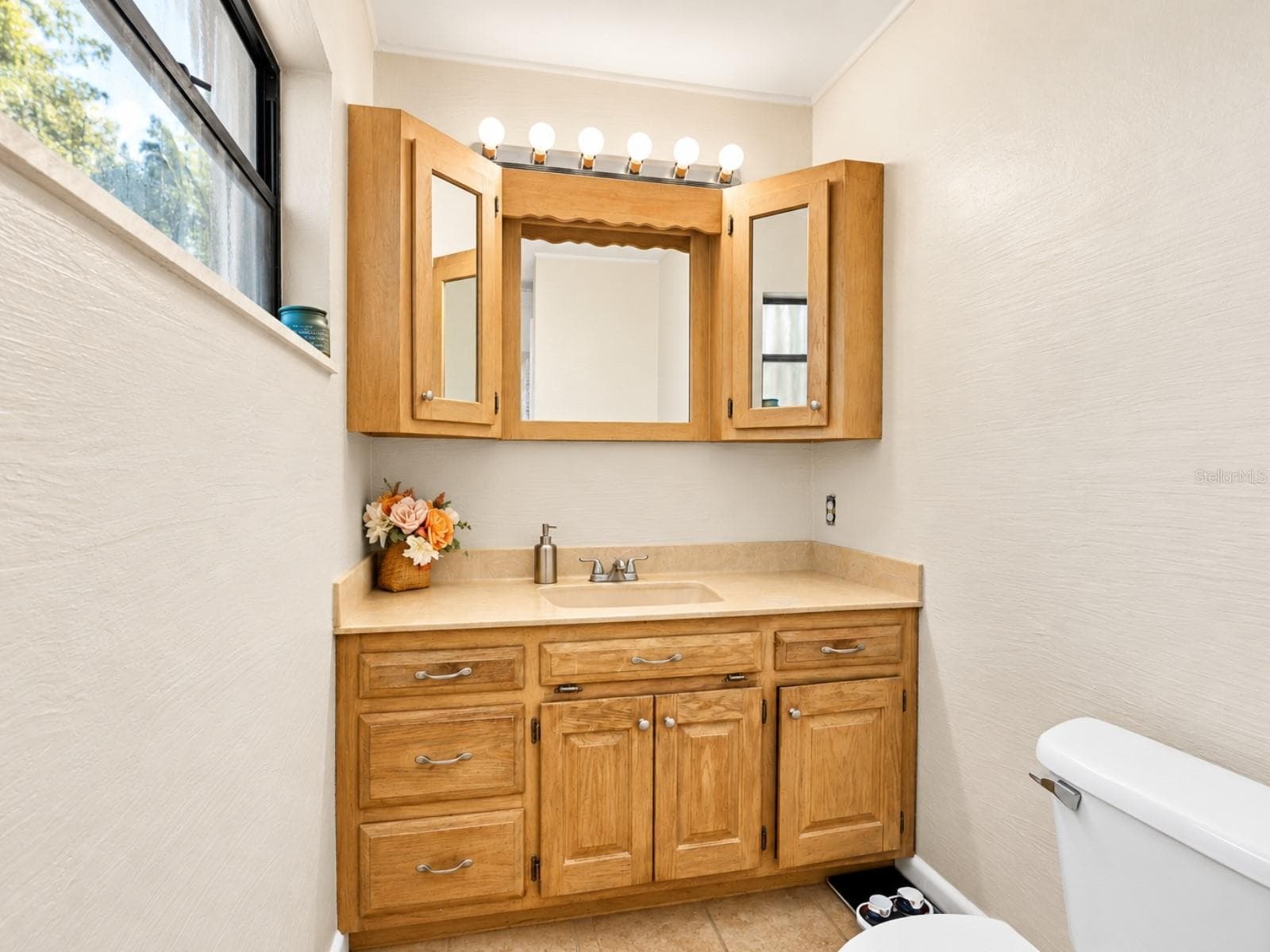 Single Family Residence at 19201 ALICE CIR, LUTZ, photo 23 of 44