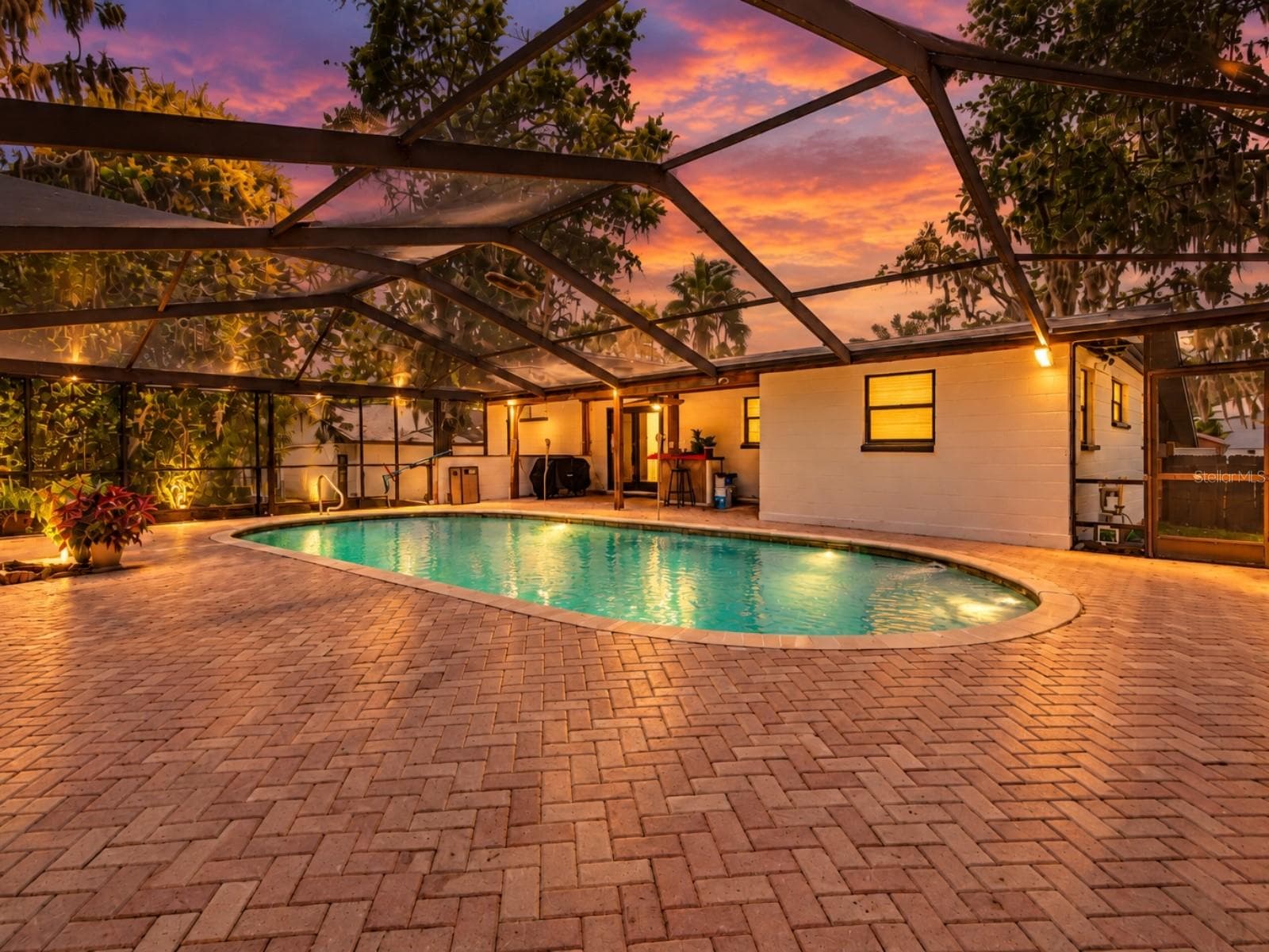 Screened Pool Overlooking Lake Alice - 19201 ALICE CIR, LUTZ
