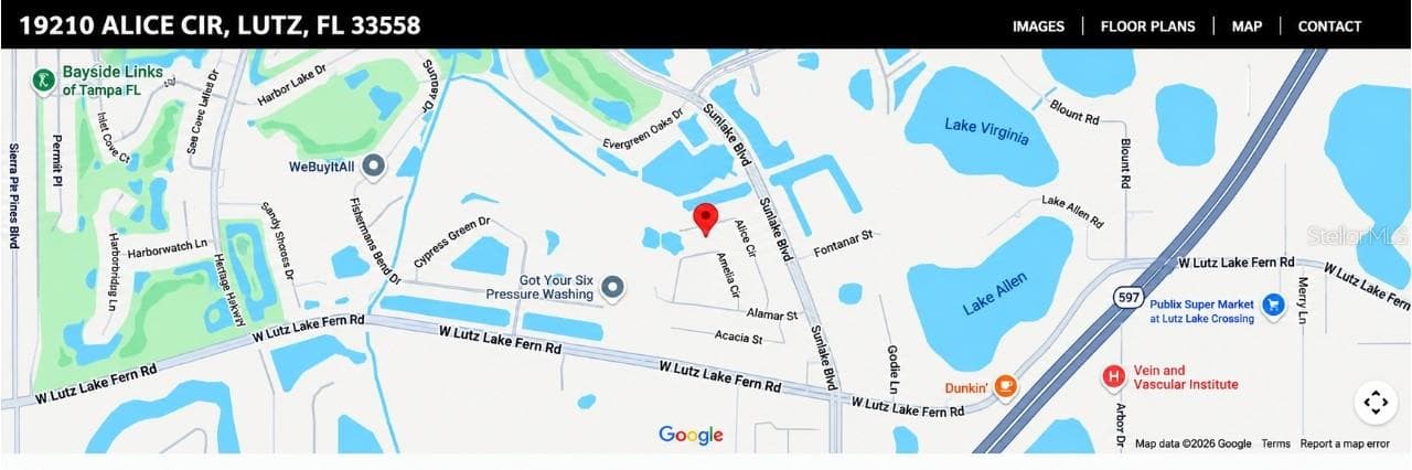 Map View - 19201 ALICE CIR, LUTZ