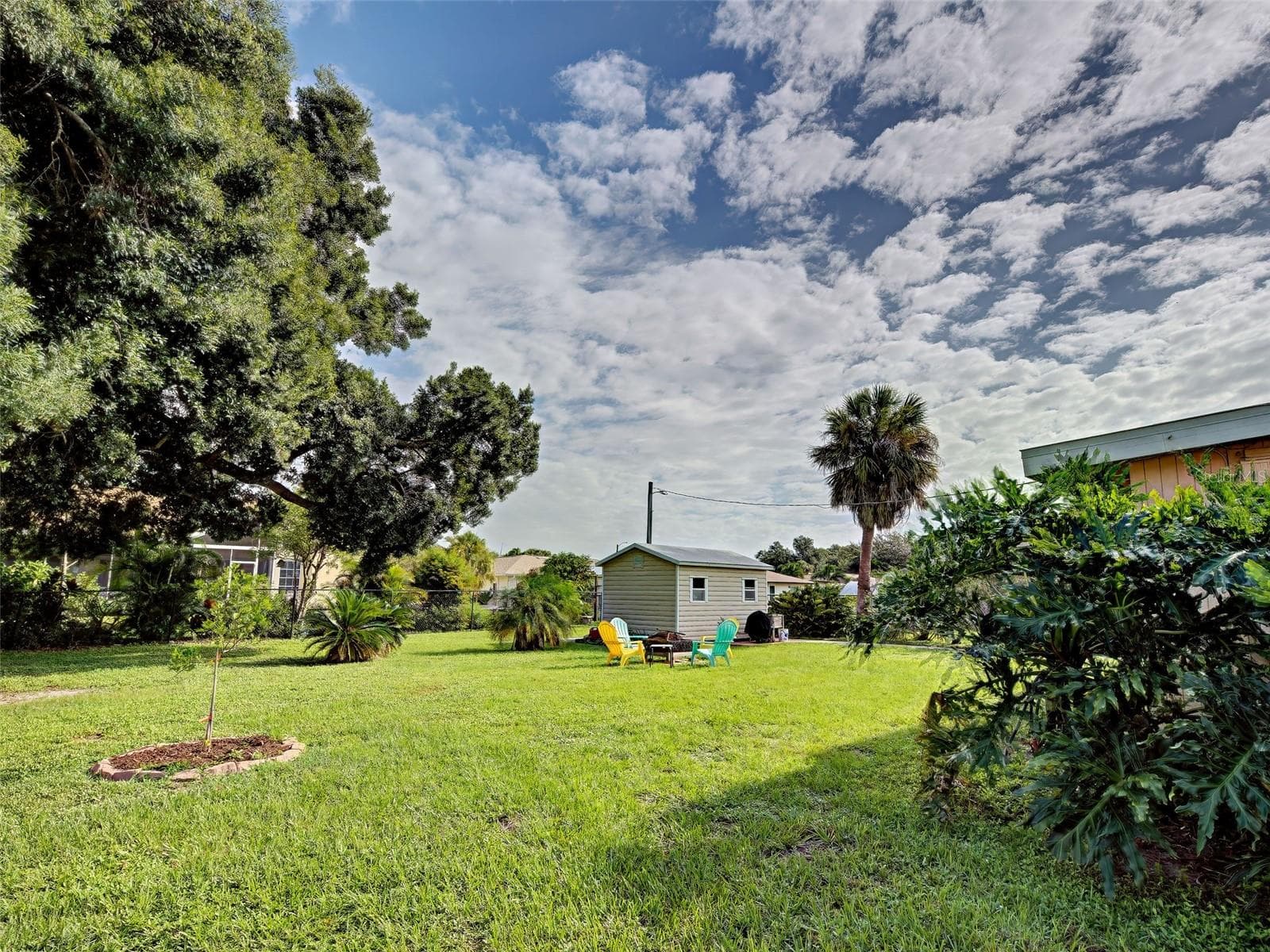 Meyer lemon/Valencia Orange Citrus tree - 22542 ELMIRA BLVD, PORT CHARLOTTE