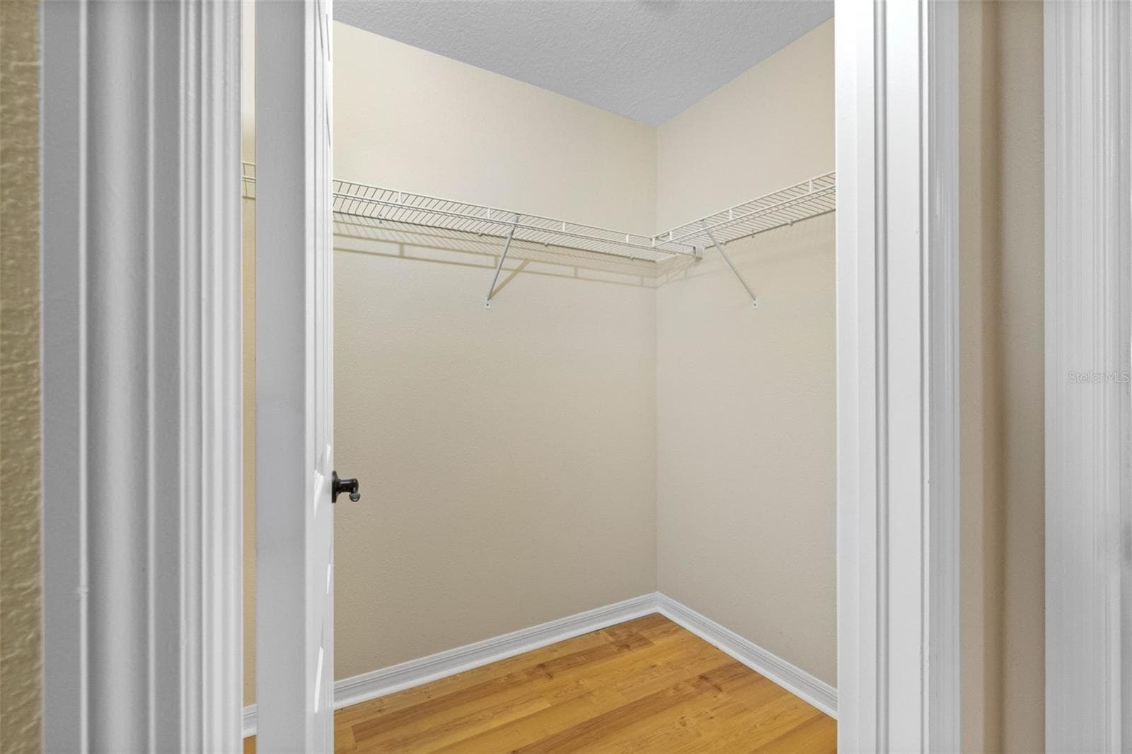 2nd bedroom walk in closet - 7949 TASSO CT, SEMINOLE
