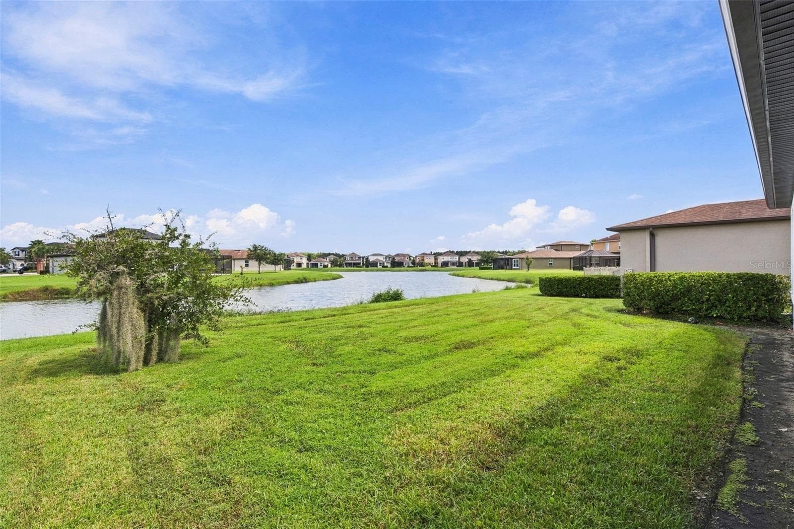Single Family Residence at 28907 REVARO LN, WESLEY CHAPEL, photo 54 of 100