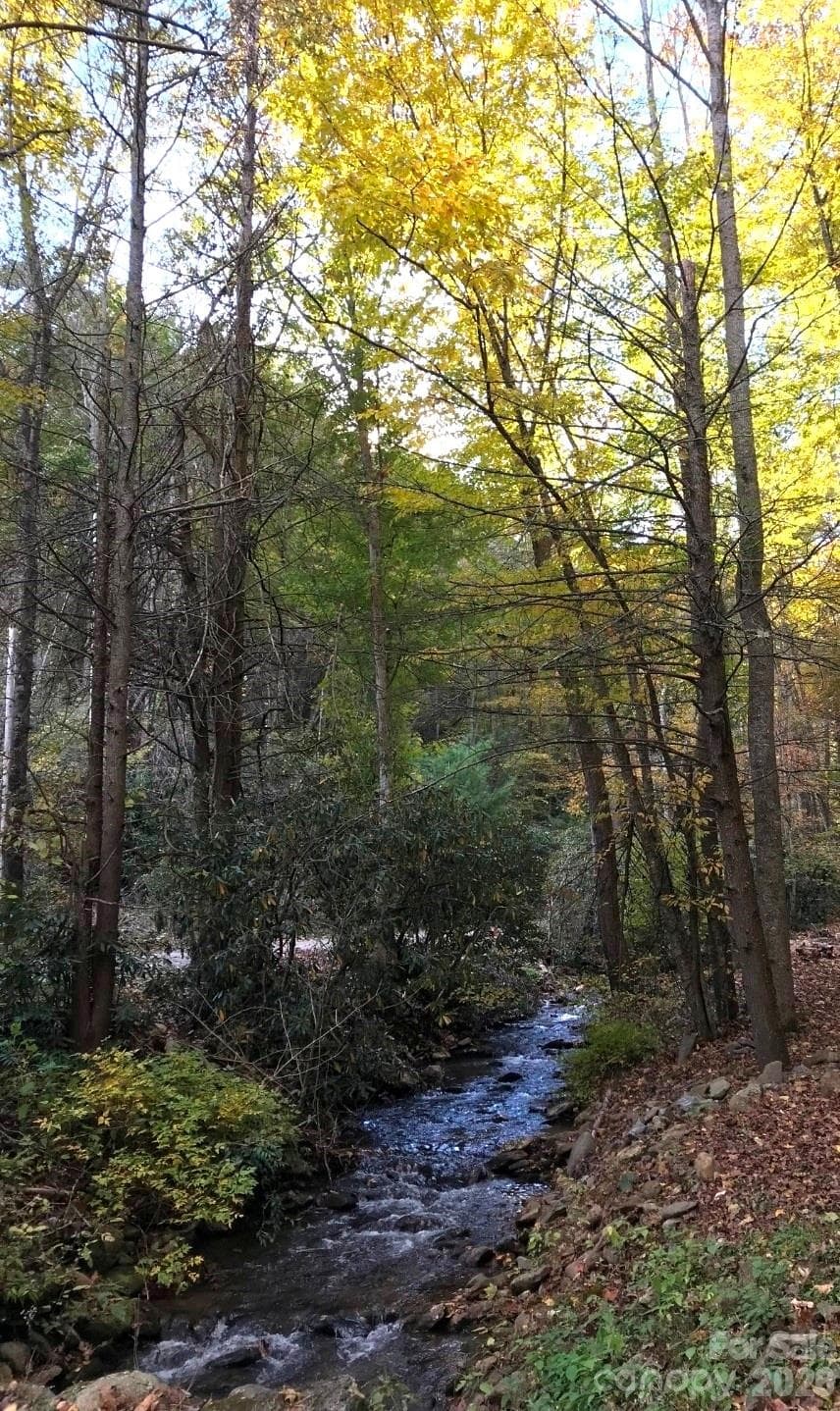Sights and sounds of Nix Creek Rd Through the Seasons - 174 Nix Creek Road, Canton