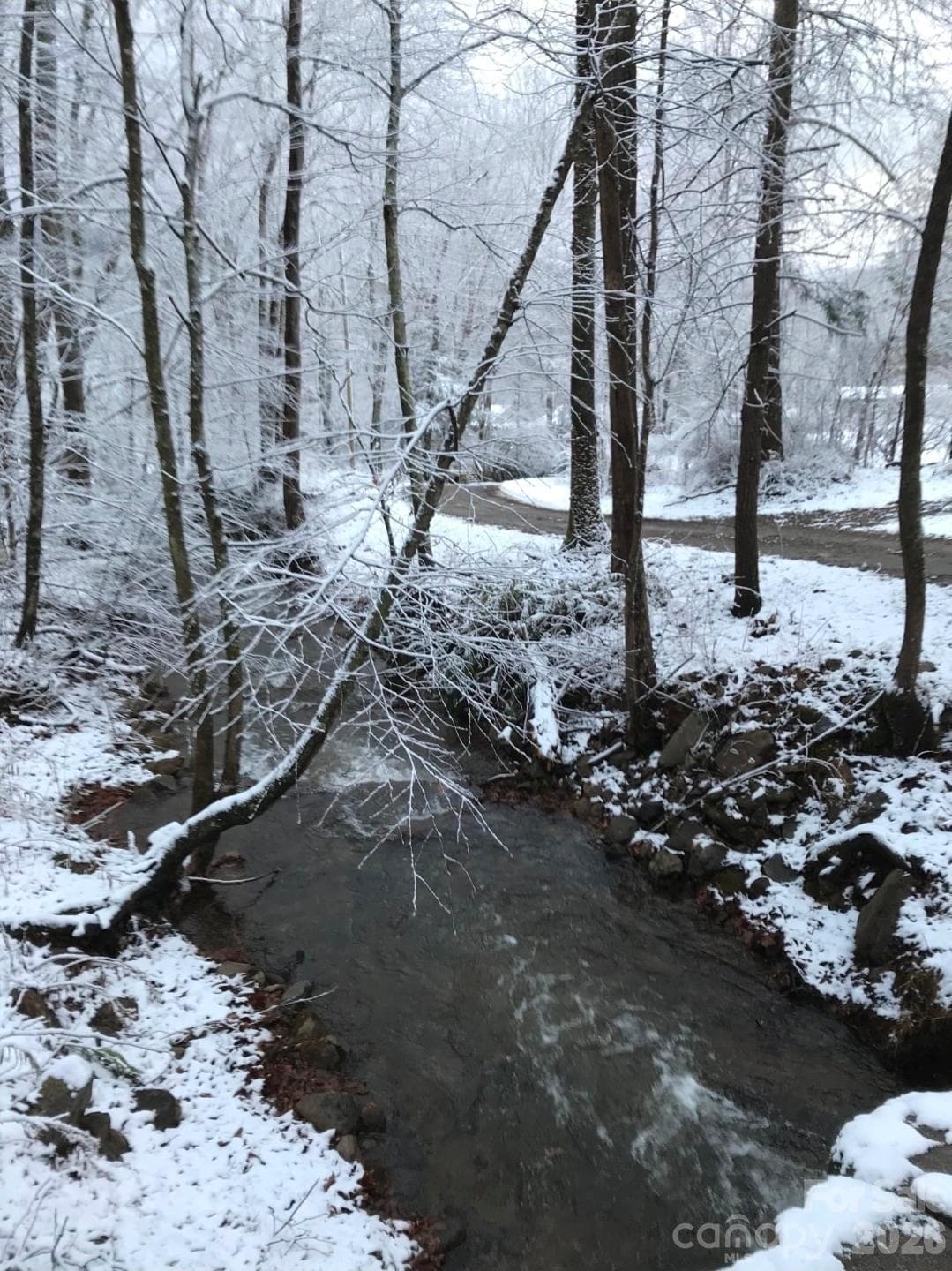 Sights and sounds of Nix Creek Rd Through the Seasons - 174 Nix Creek Road, Canton