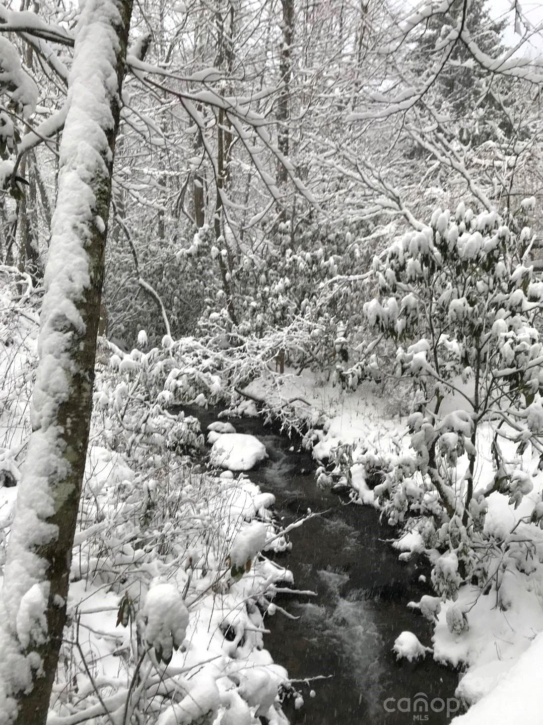 Sights and sounds of Nix Creek Rd Through the Seasons - 174 Nix Creek Road, Canton
