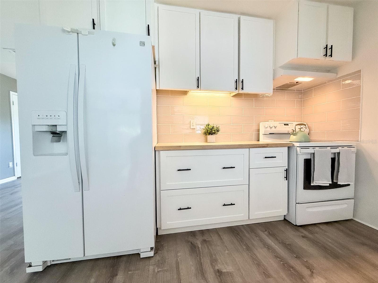 Kitchen - 102 GLEN RIDGE AVE, TEMPLE TERRACE