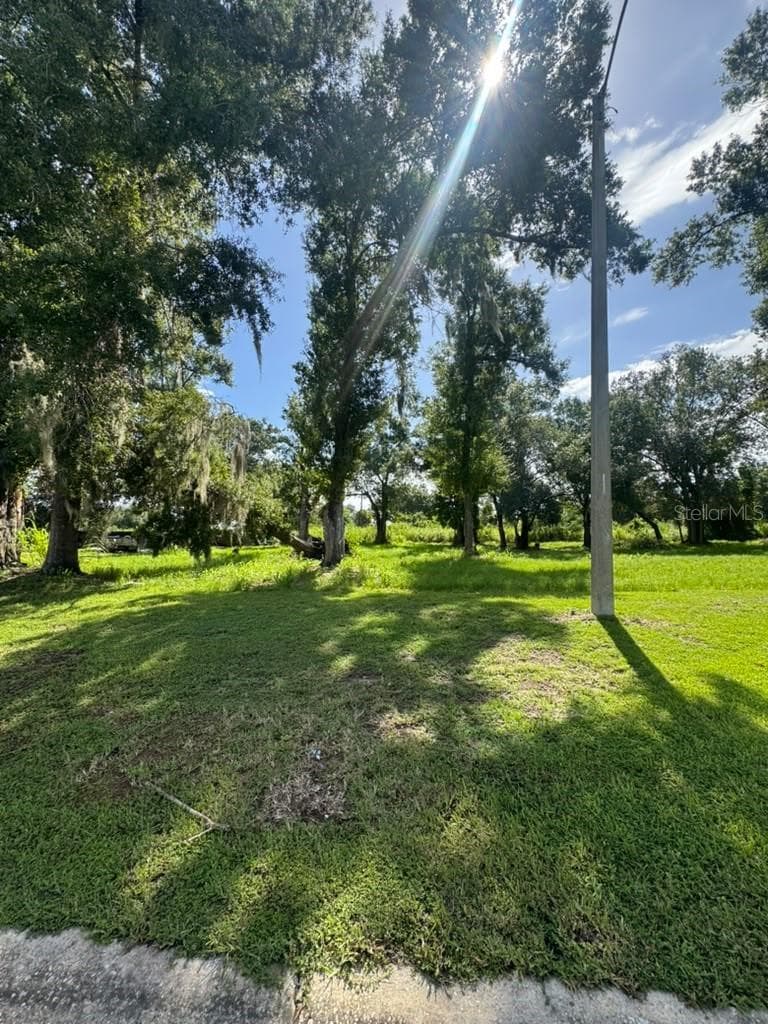 Land at 1171 SW MELODY DR, ARCADIA, photo 3 of 4
