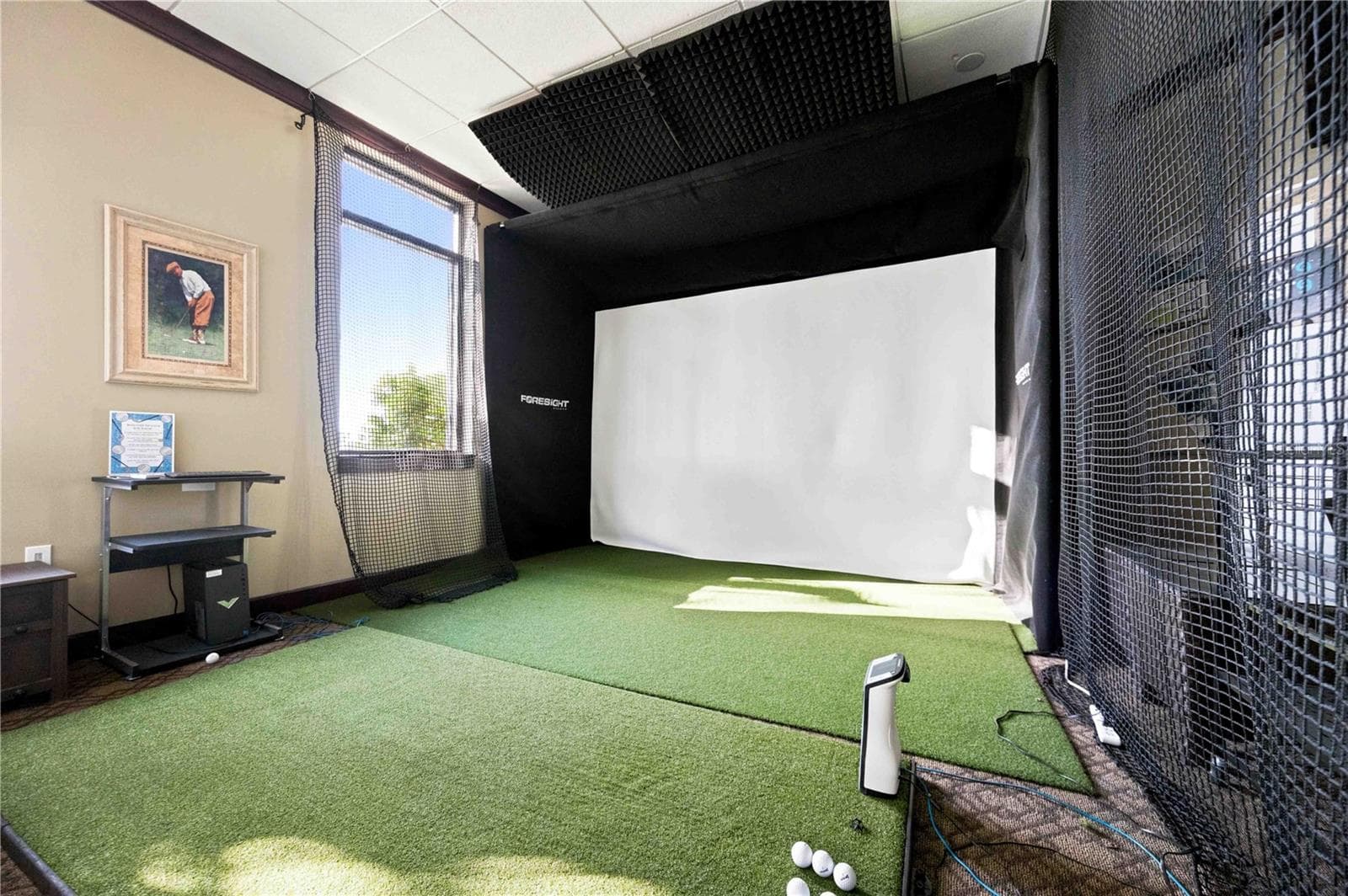 Golf Simulator to work on your game - 10720 TARFLOWER DR, VENICE