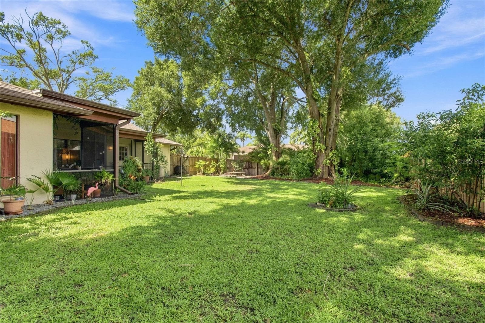 Backyard - 4607 CLOVERLAWN DR, TAMPA