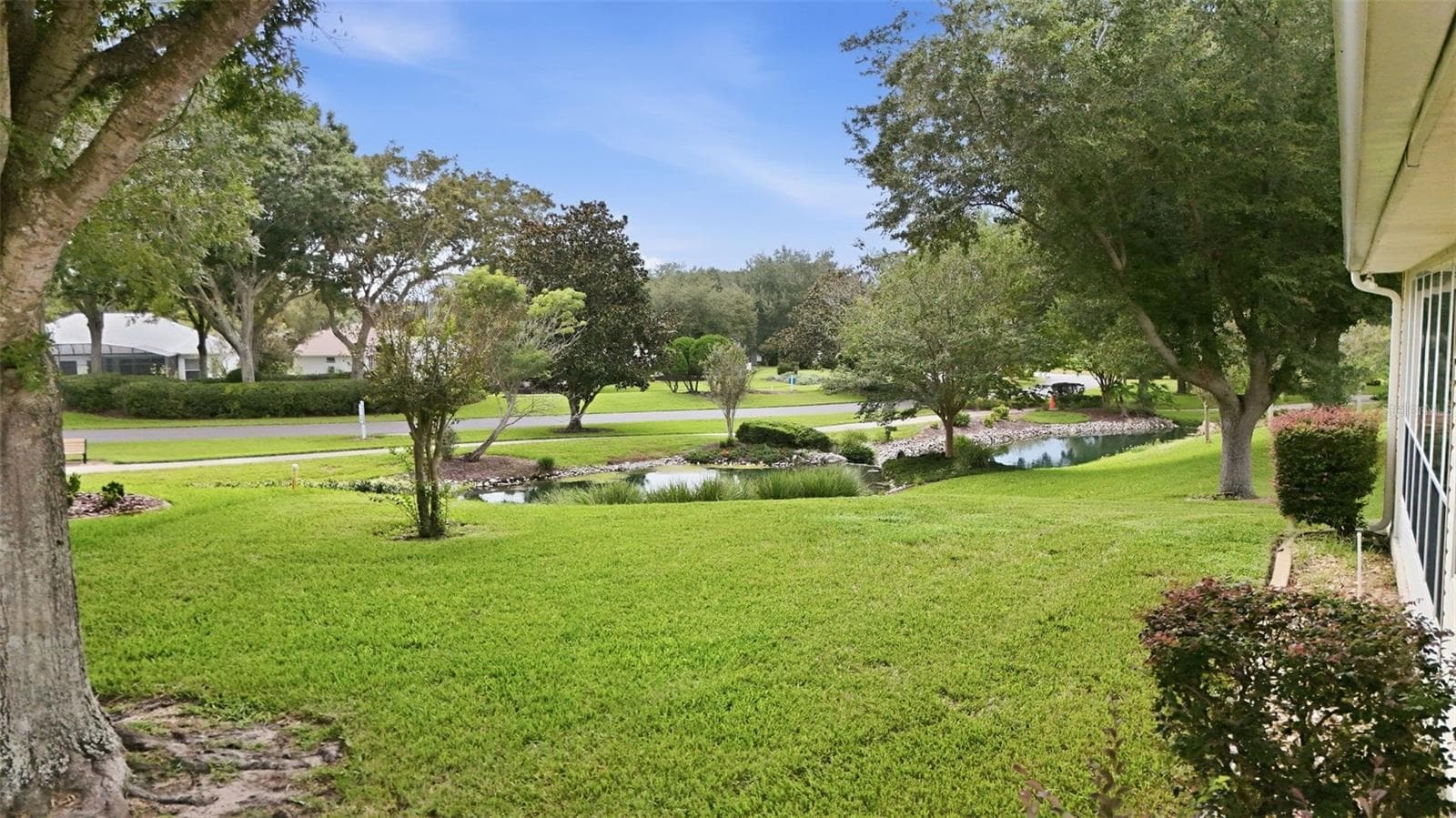 Lovely green space with mature trees and a peaceful water view! - 5596 FREEPORT DR, TAVARES