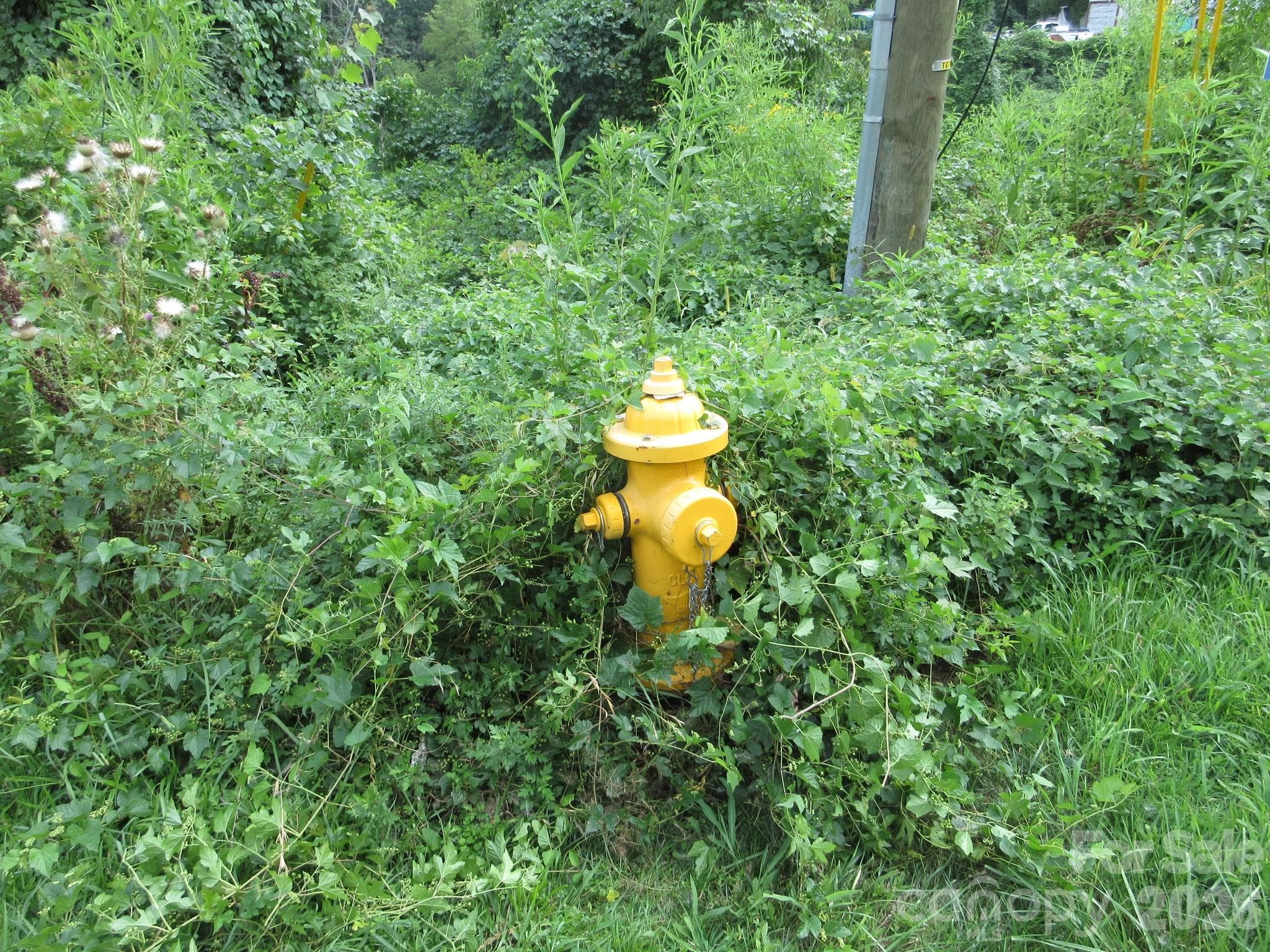 Fire Hydrant on Lot - Asheville