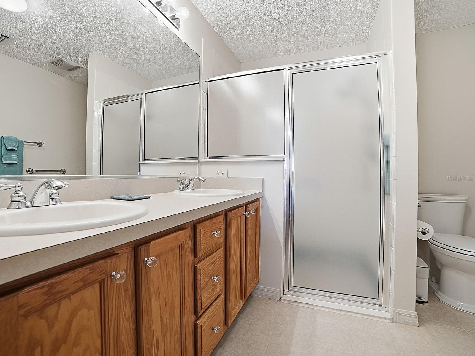 Primary bathroom with two sinks - 484 AINTREE LN, THE VILLAGES