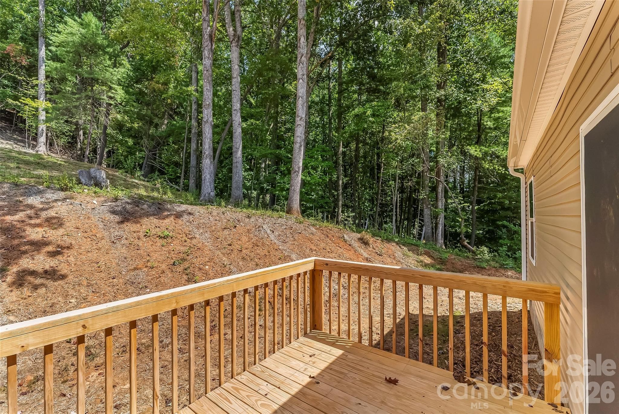 Single Family Residence at 162 Ada Way, Hendersonville, photo 22 of 24