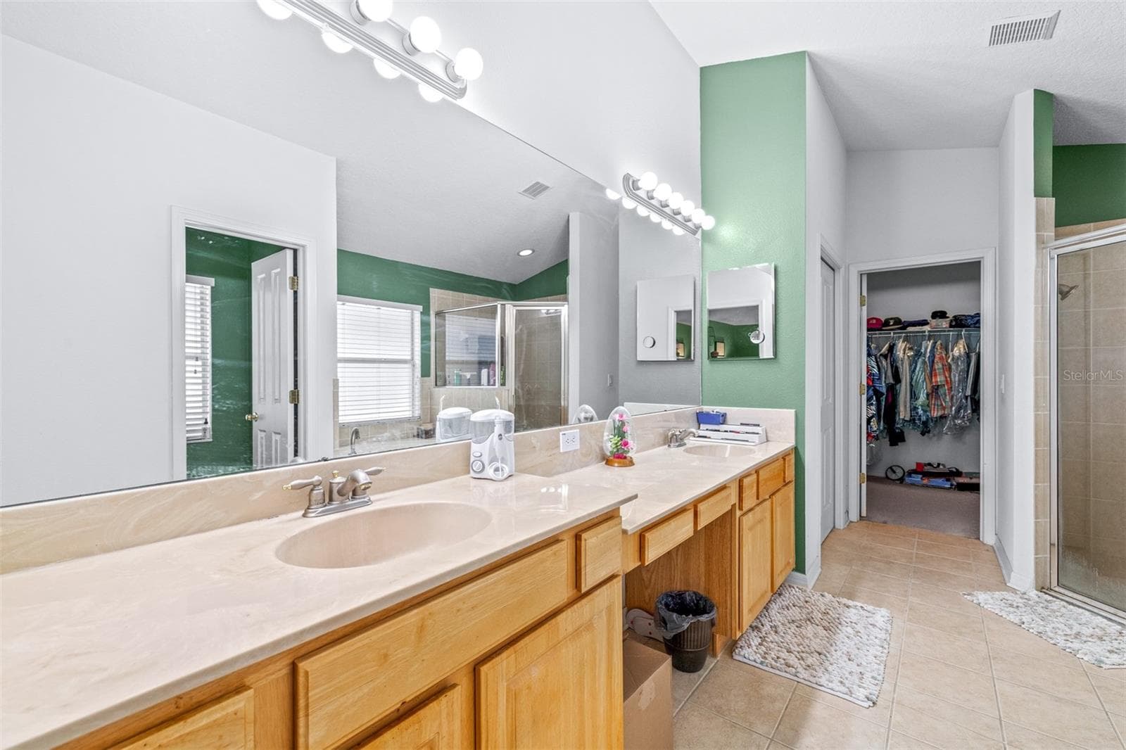 Master Bathroom w/ large walk in closet - 7113 CROMWELL PARK LN, APOLLO BEACH