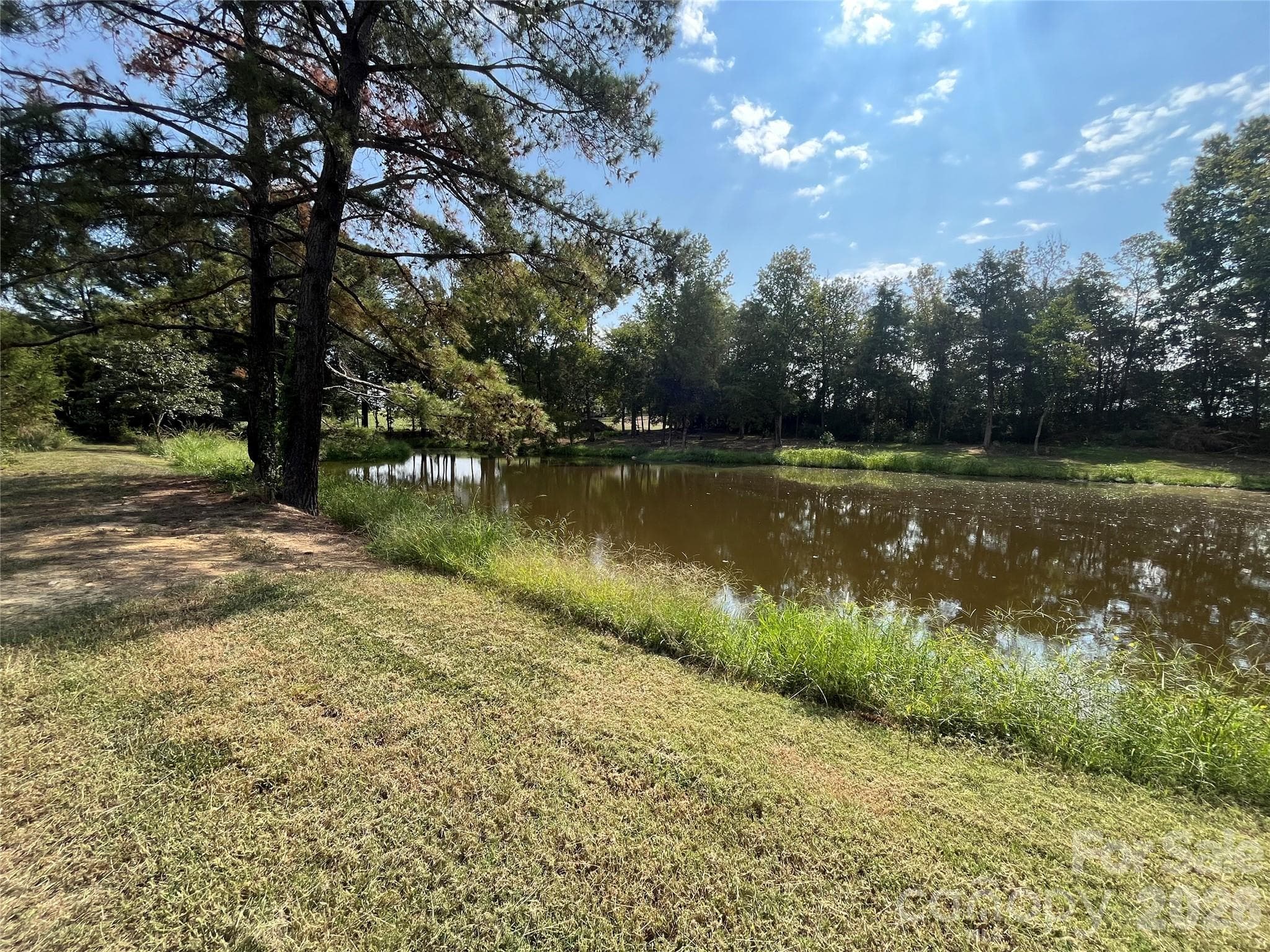 Pond view - 5810 Wolf Pond Road, Monroe