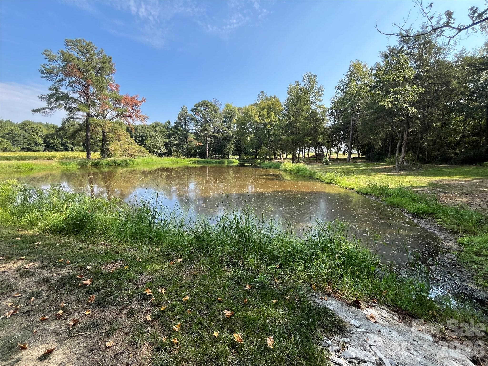 Nice pond for livestock, enjoyment, and wildlife to enjoy - 5810 Wolf Pond Road, Monroe