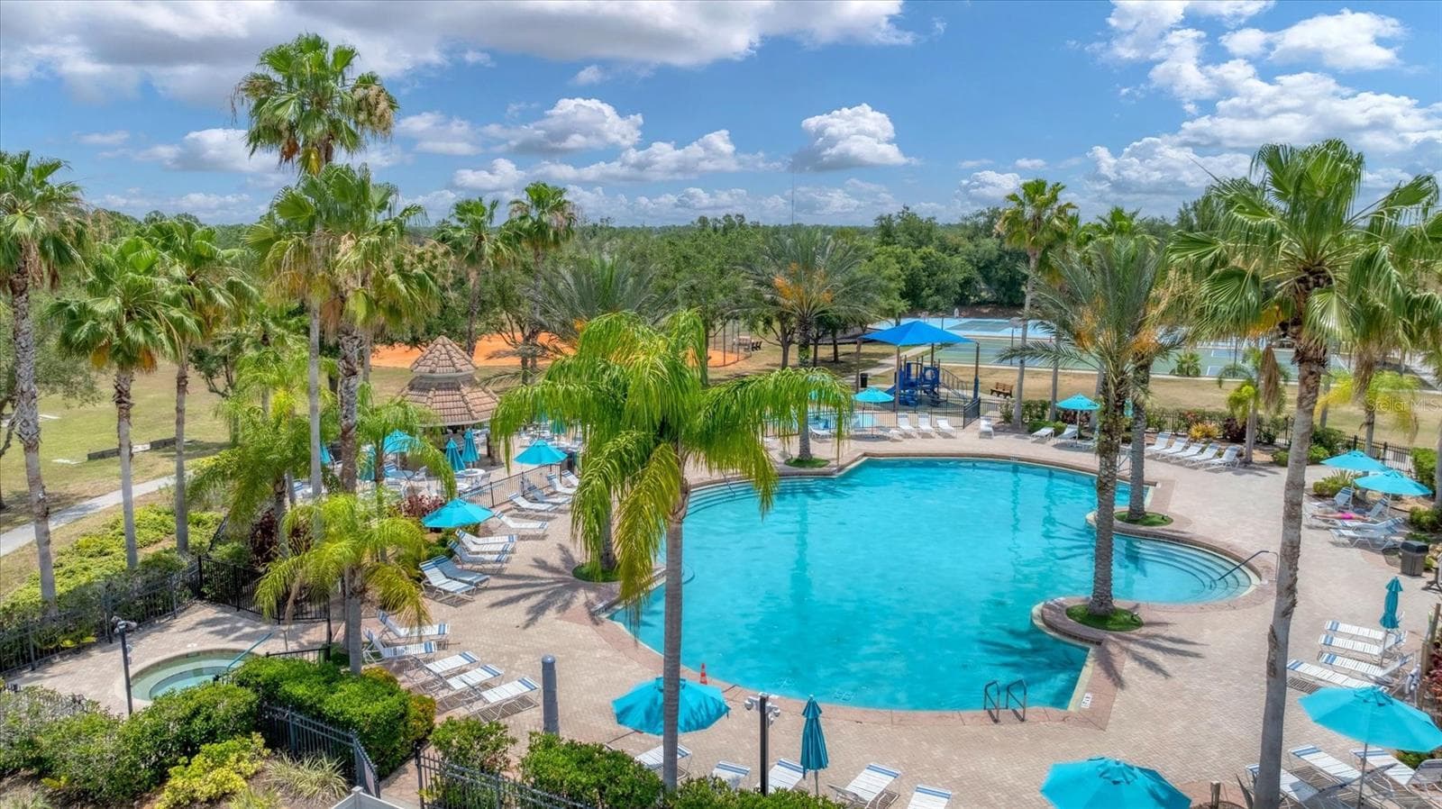 Community pool - 11504 DANCING RIVER DR, VENICE