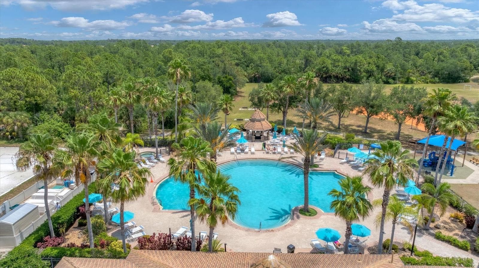 Community pool - 11504 DANCING RIVER DR, VENICE