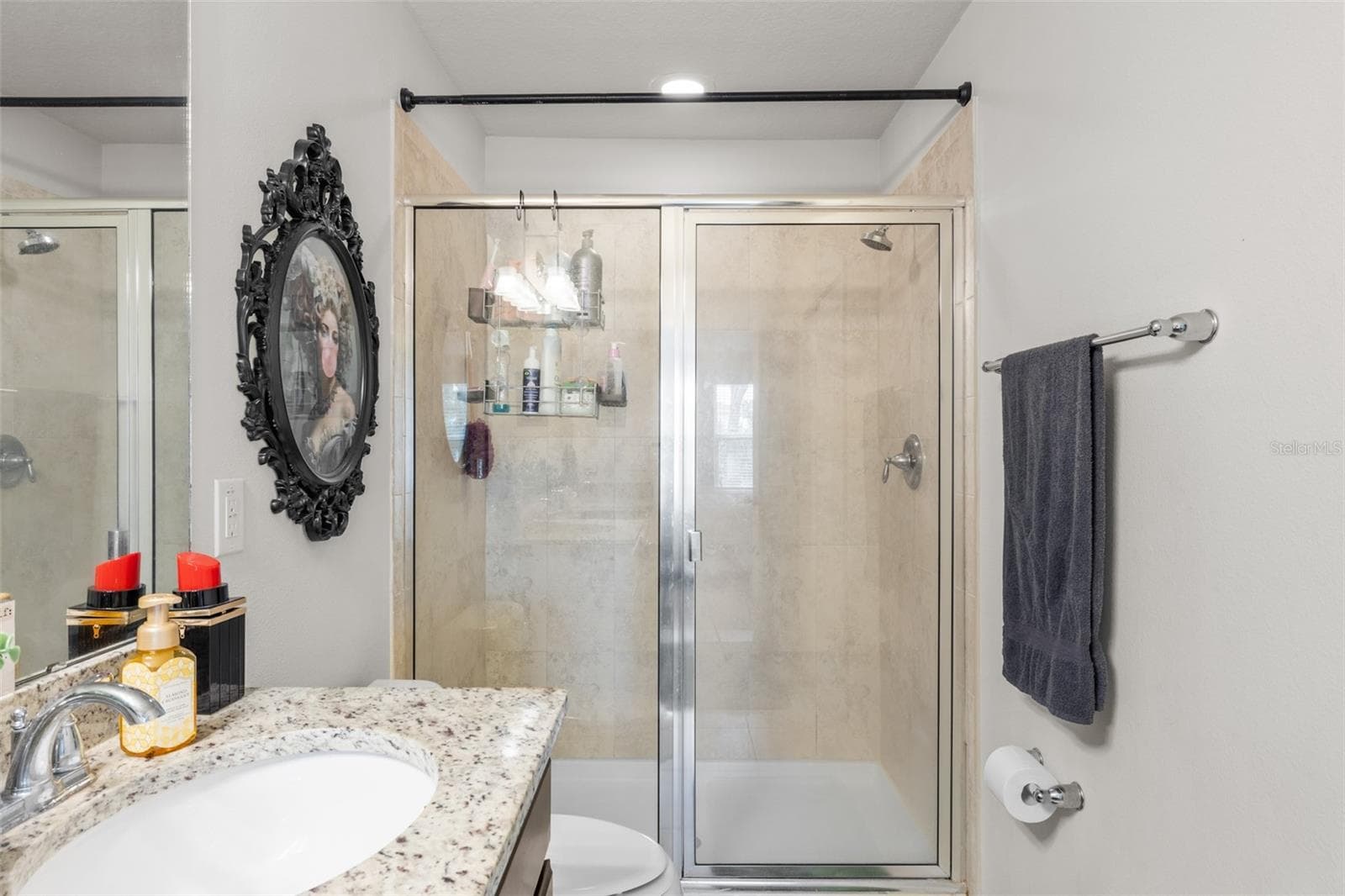 Townhouse at 4741 WHITE SANDERLING CT, TAMPA, photo 38 of 58