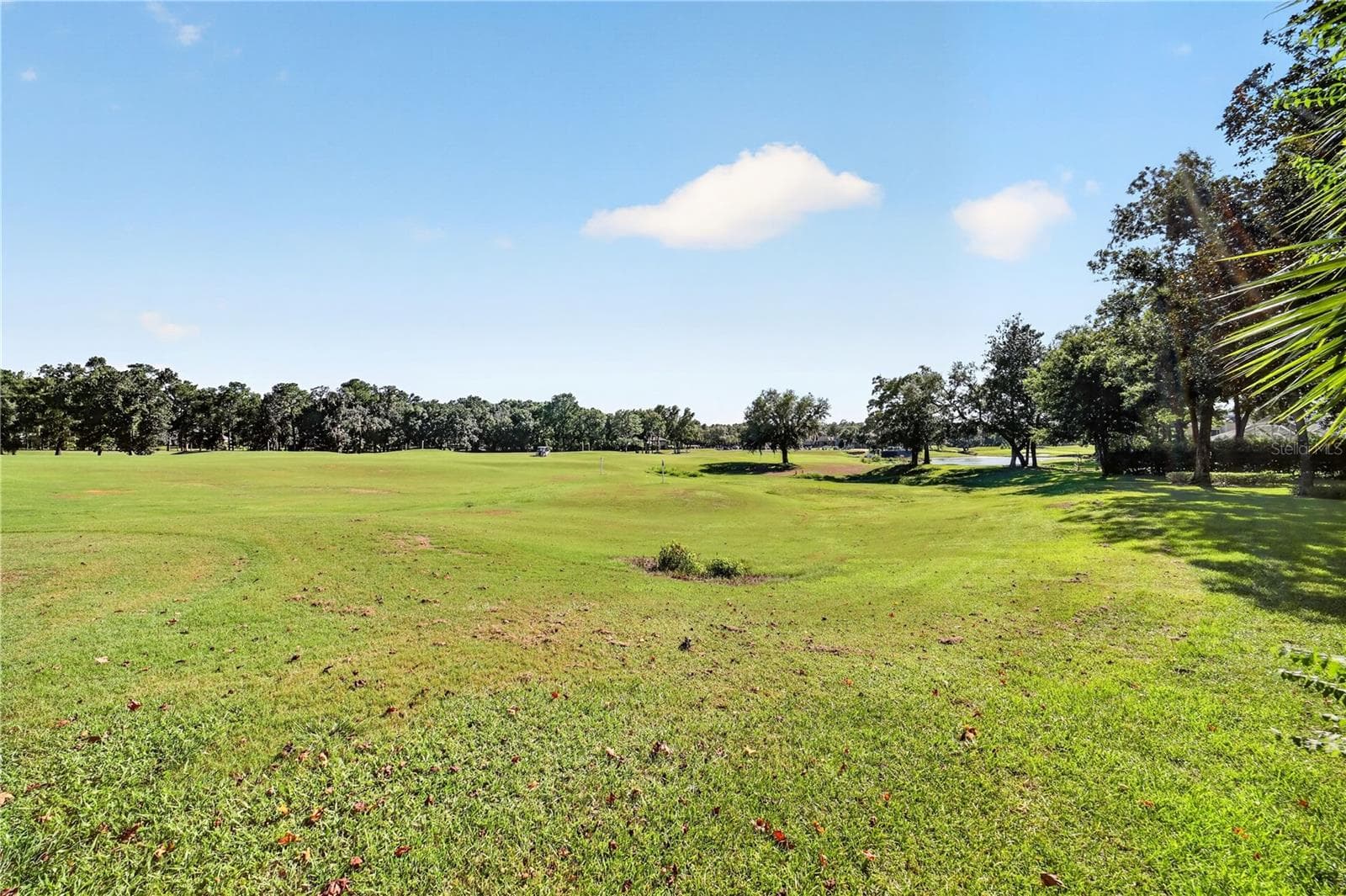 Single Family Residence at 1450 SE 73RD PL, OCALA, photo 86 of 98
