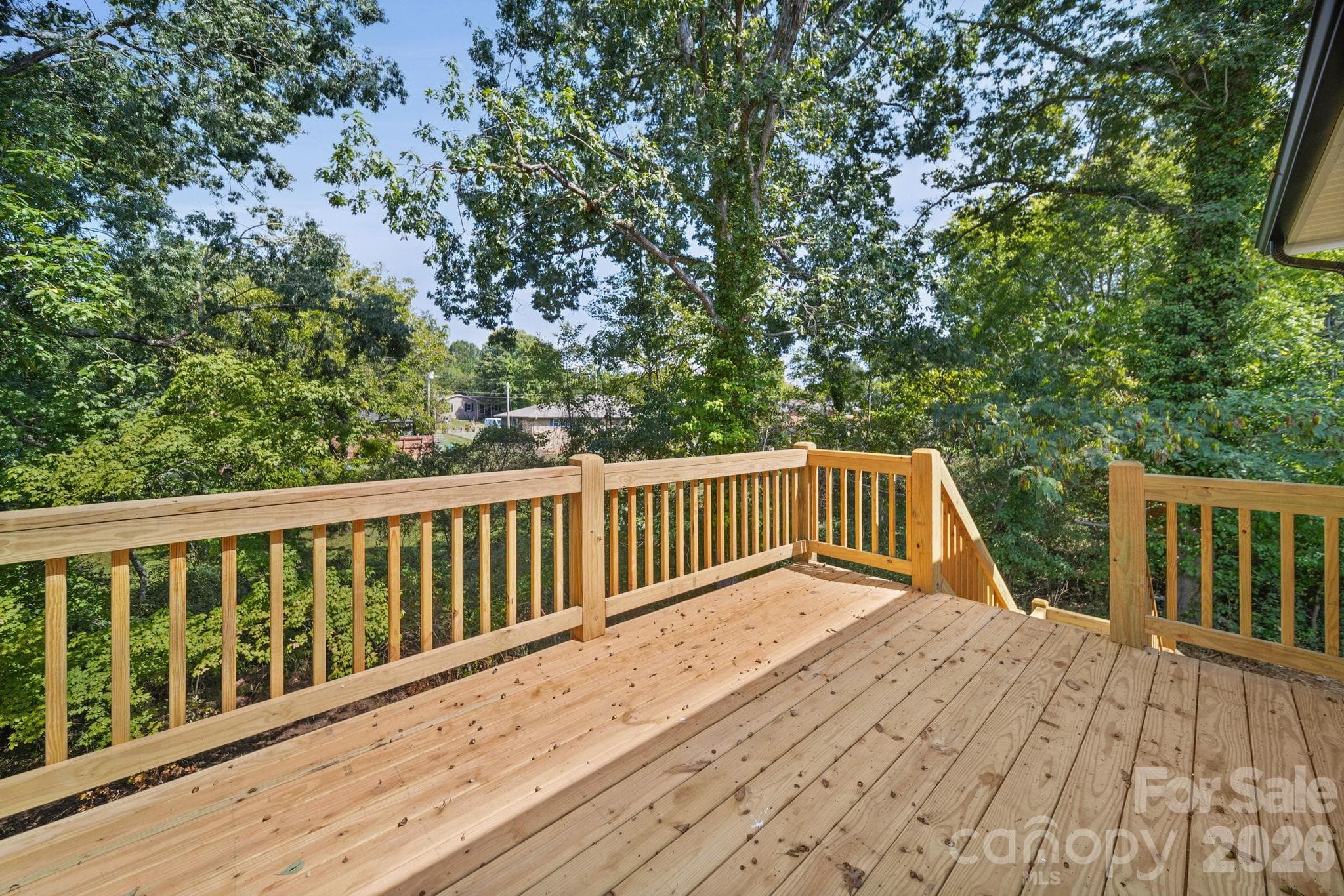 Back Deck - 1245 Wendover Avenue, Albemarle