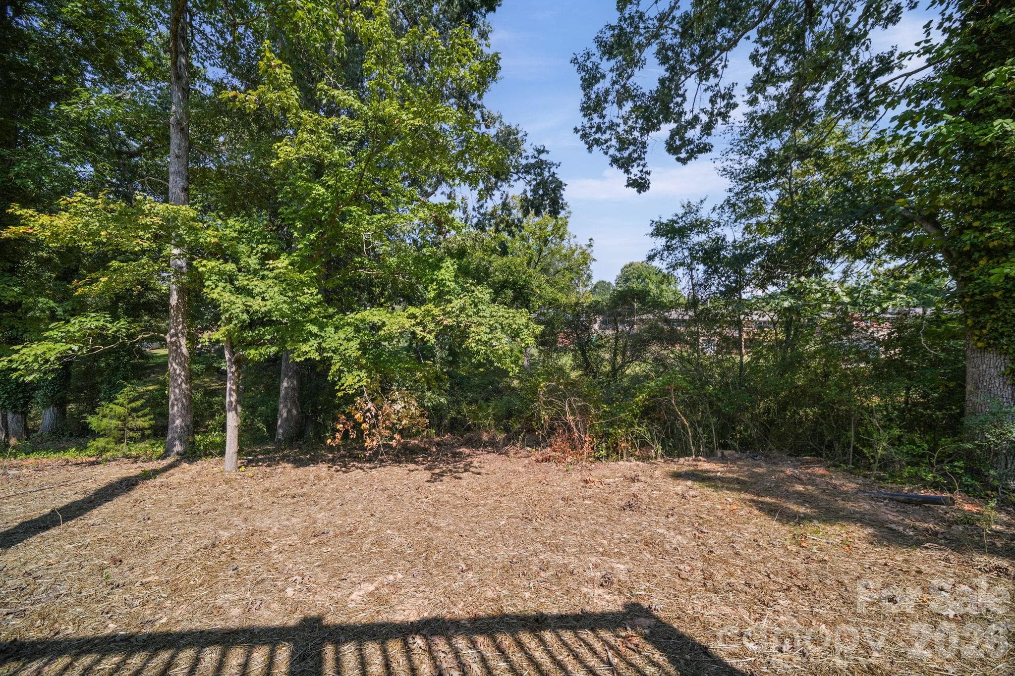 Back Yard - 1245 Wendover Avenue, Albemarle