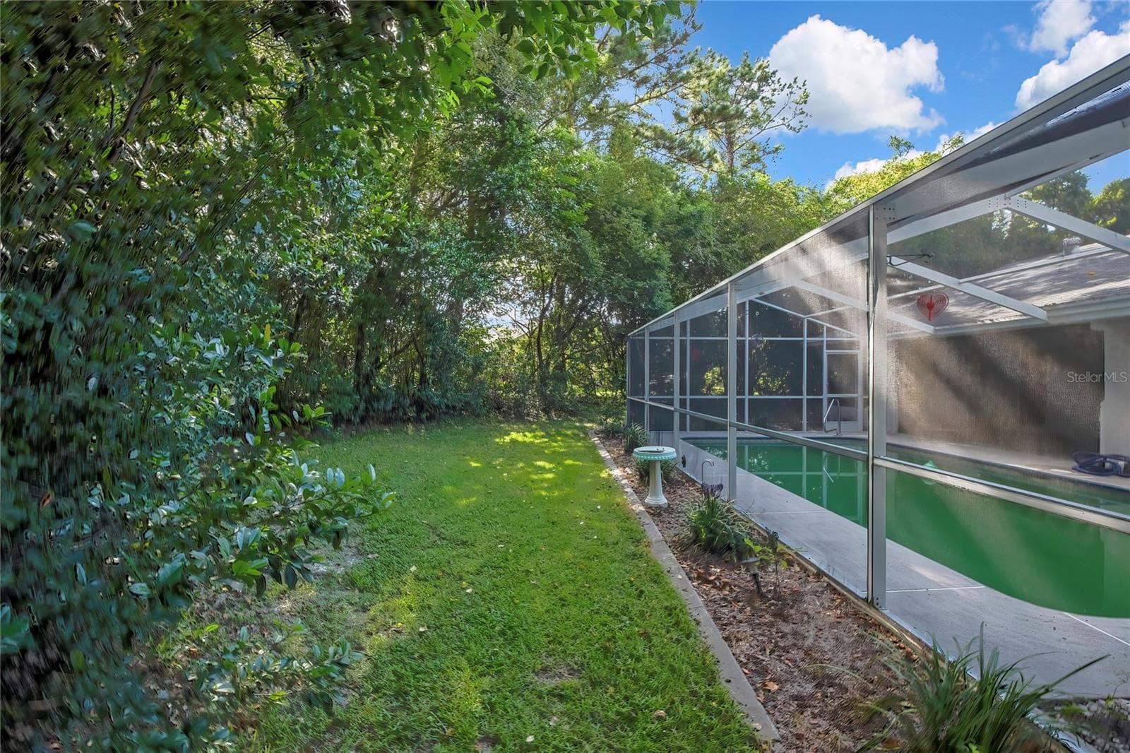 Exterior view of the screened pool enclosure and wooded backyard - 1097 FLORIAN WAY, SPRING HILL