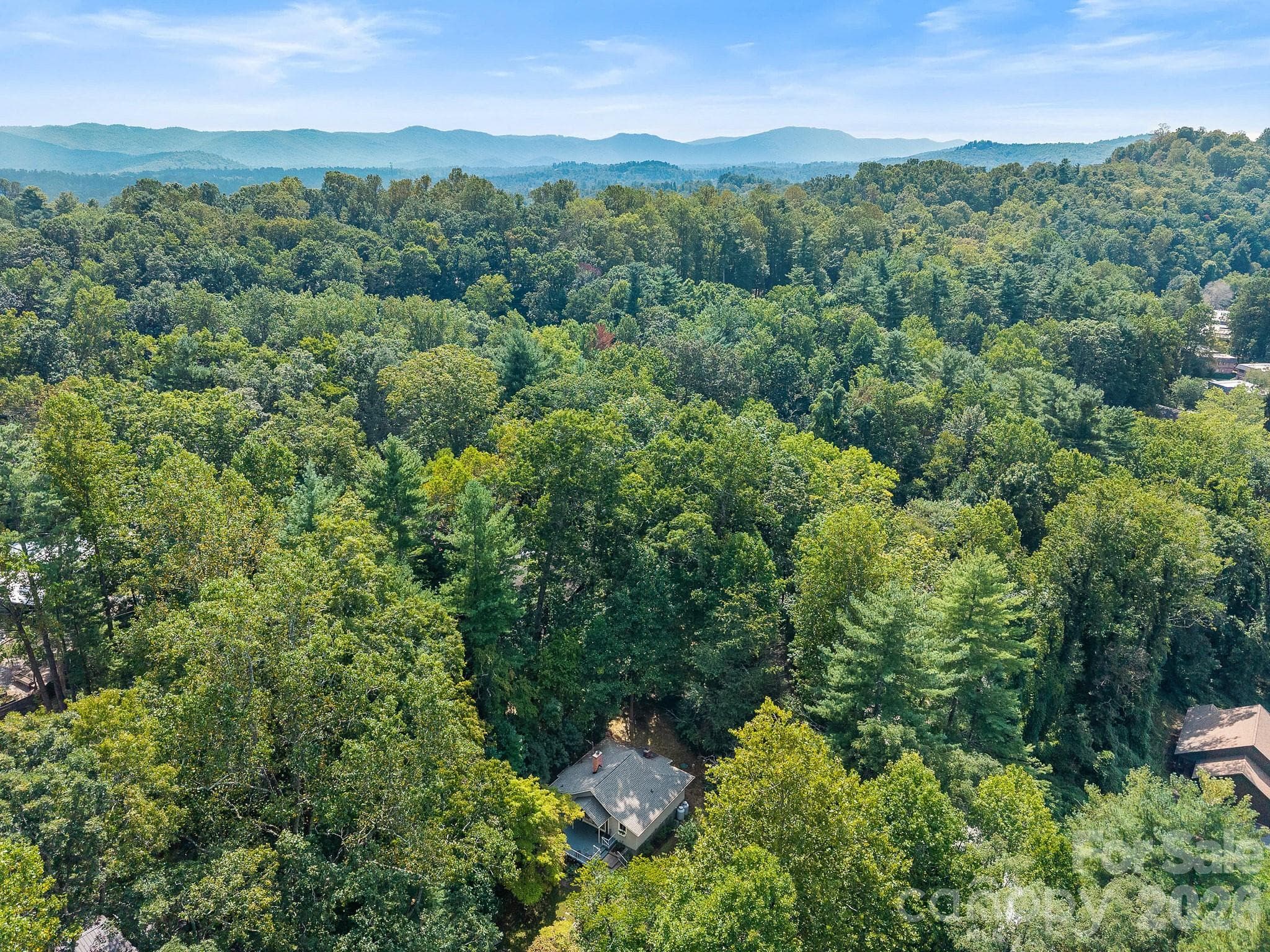 Single Family Residence at 240 Seneca Boulevard, Hendersonville, photo 31 of 33