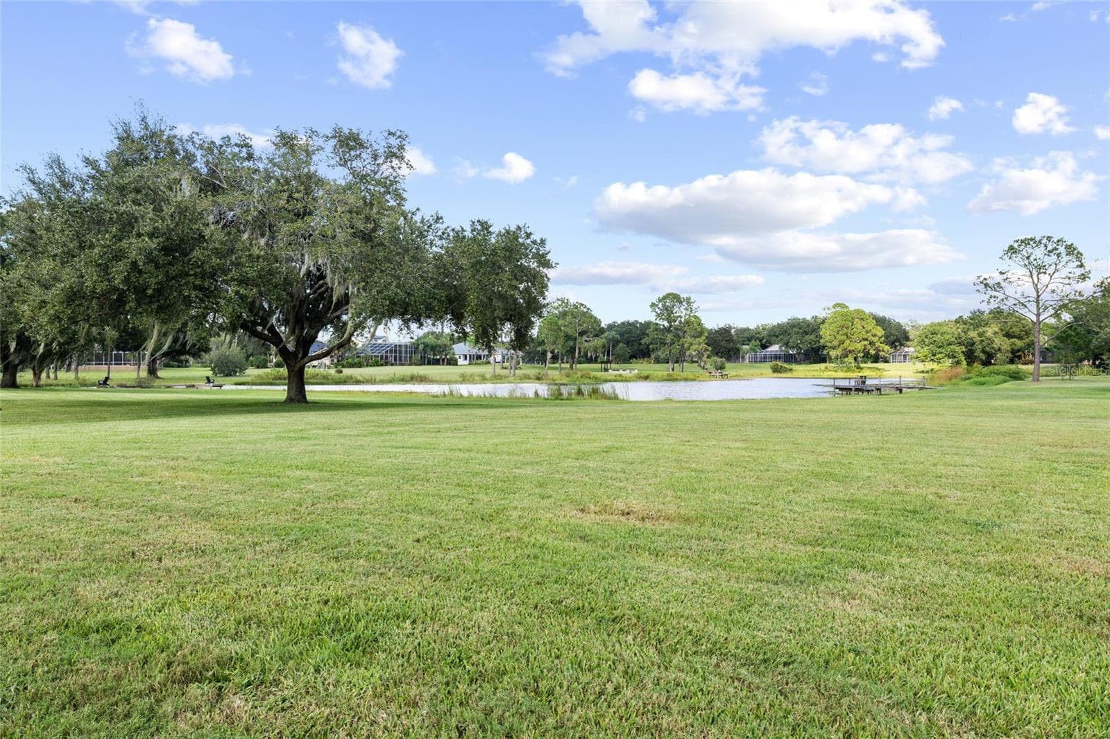 Single Family Residence at 17825 SIMMS RD, ODESSA, photo 6 of 89