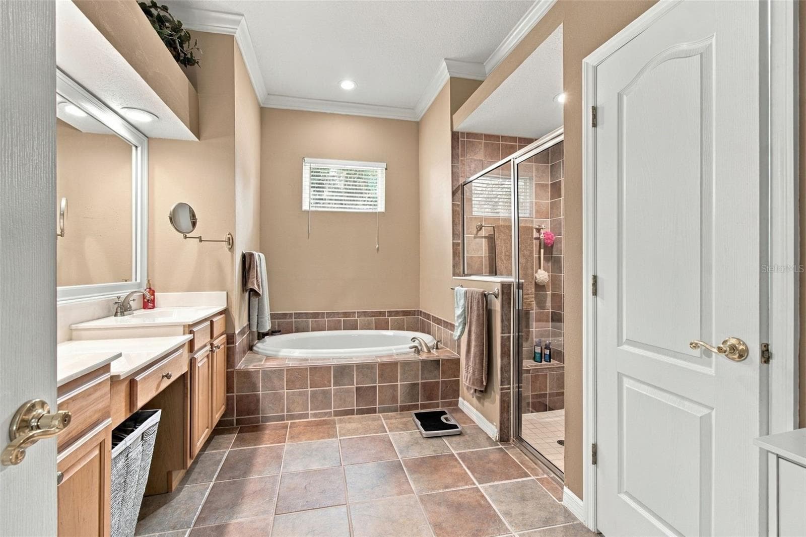 Primary Bathroom - 5105 SYLVAN OAKS DR, VALRICO